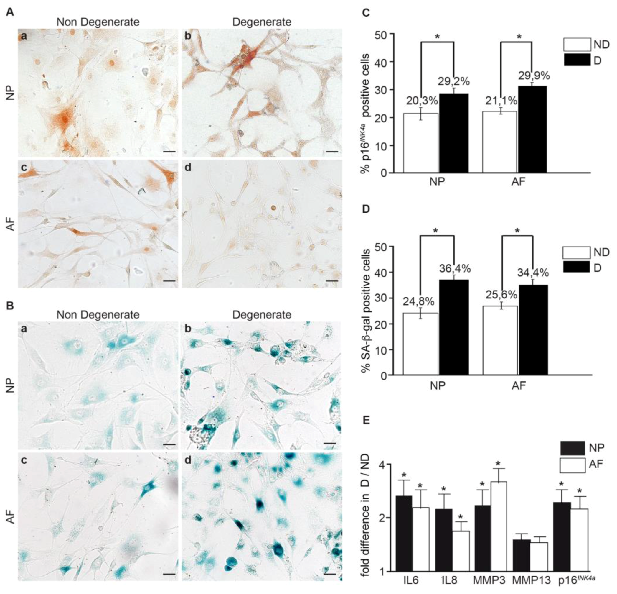 Jcm 08 00433 g002 Jcm 08 00433 g002