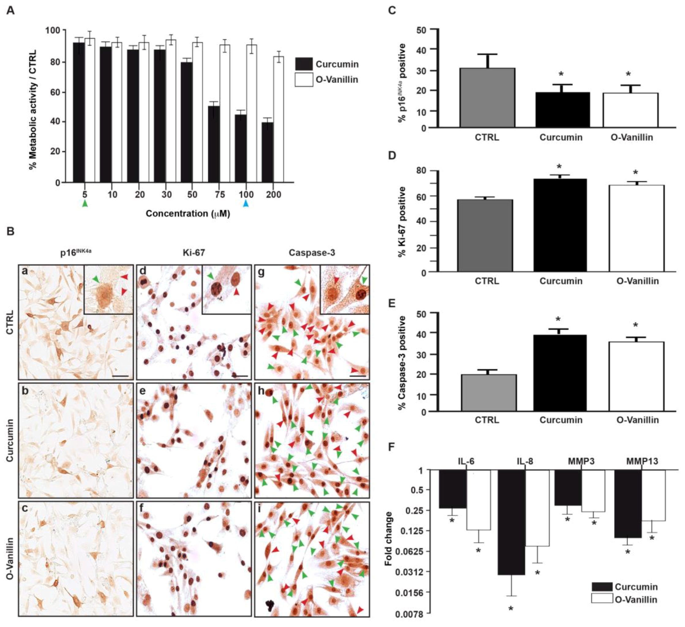 Jcm 08 00433 g003 Jcm 08 00433 g003