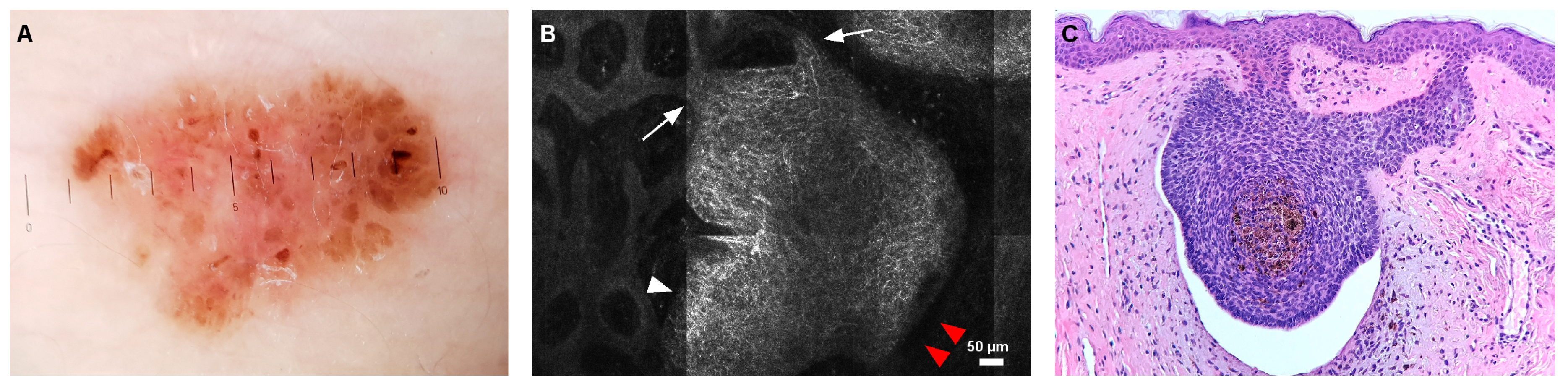 Jcm 08 00449 g002 Jcm 08 00449 g002