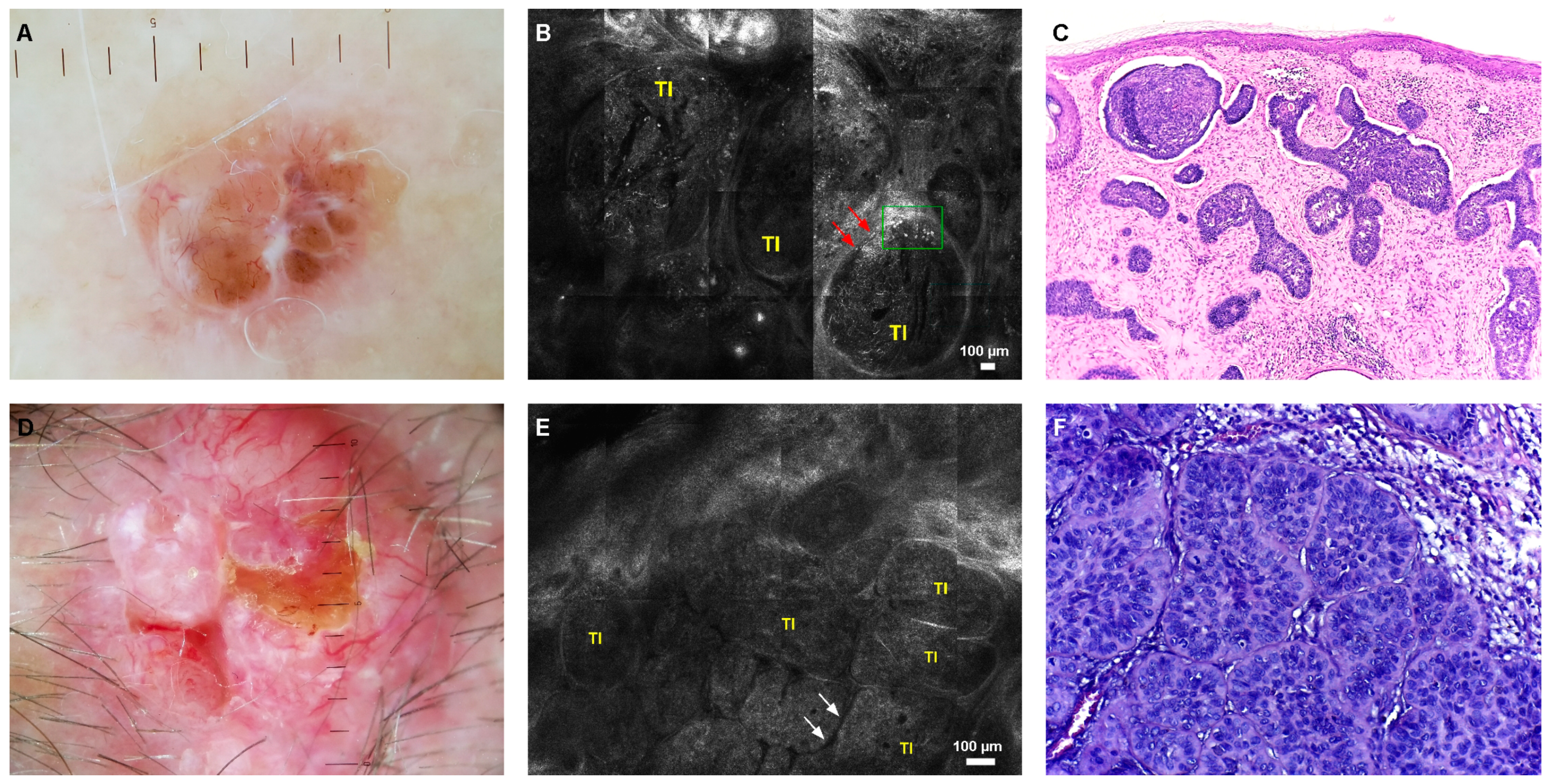 Jcm 08 00449 g003 Jcm 08 00449 g003