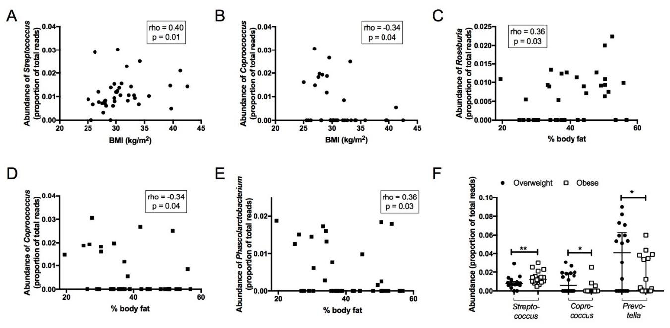Jcm 08 00452 g004 Jcm 08 00452 g004