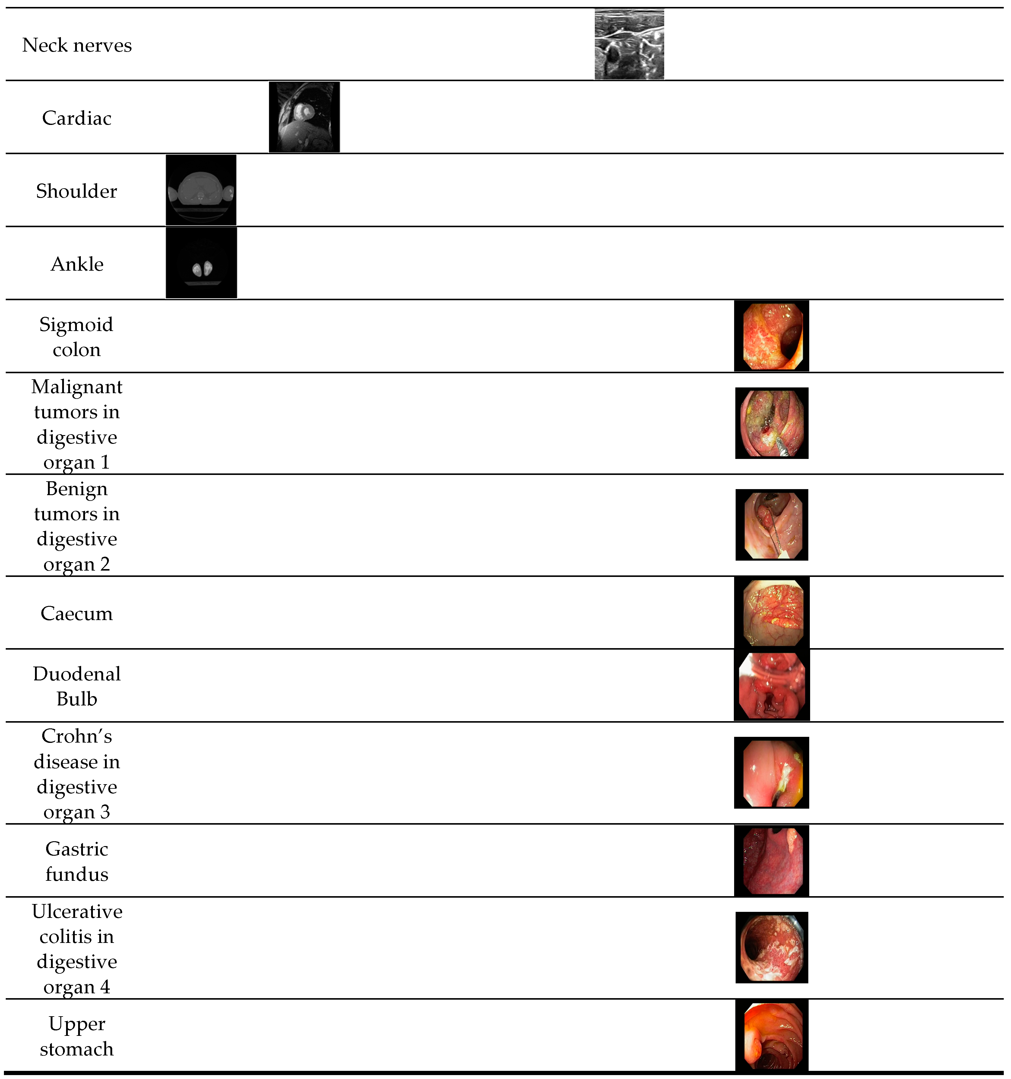 Jcm 08 00462 g006c 550