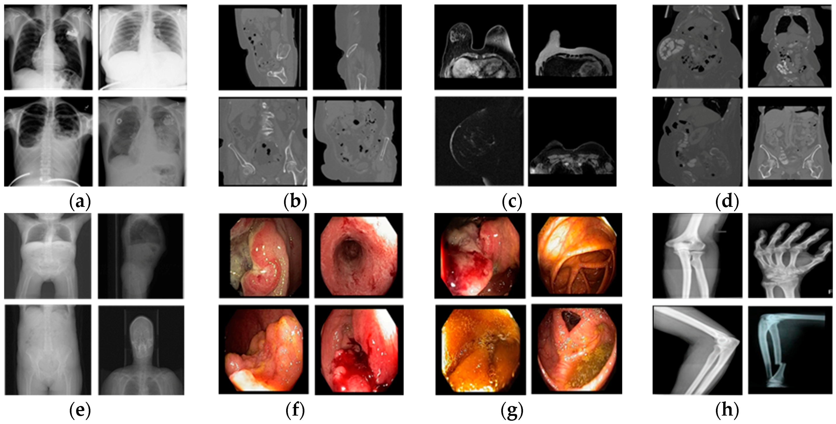Jcm 08 00462 g007 550
