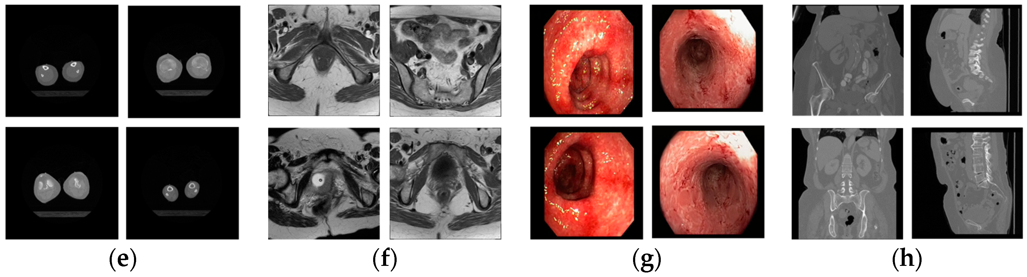Jcm 08 00462 g008b 550