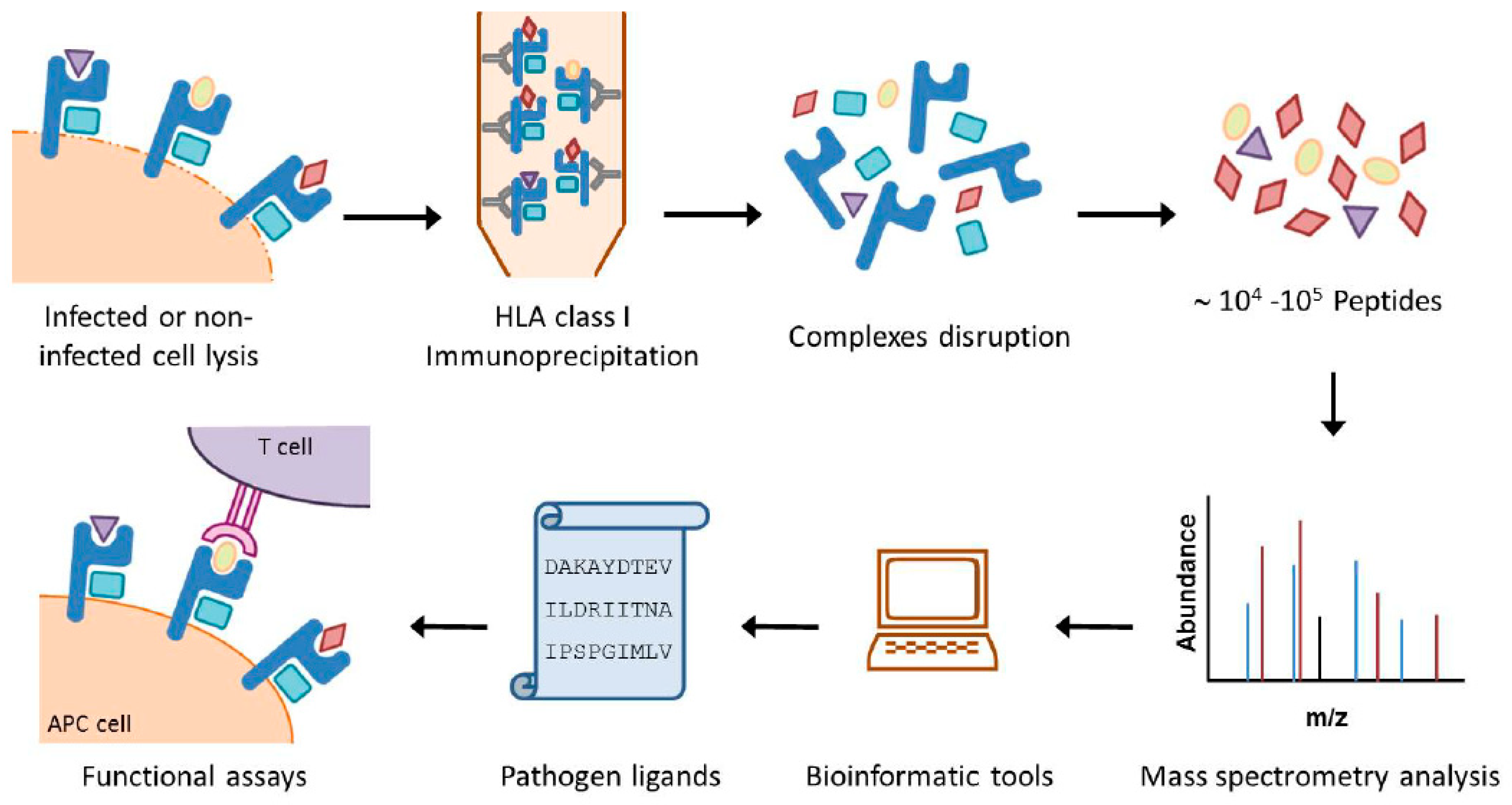 Jcm 08 00486 g001 550