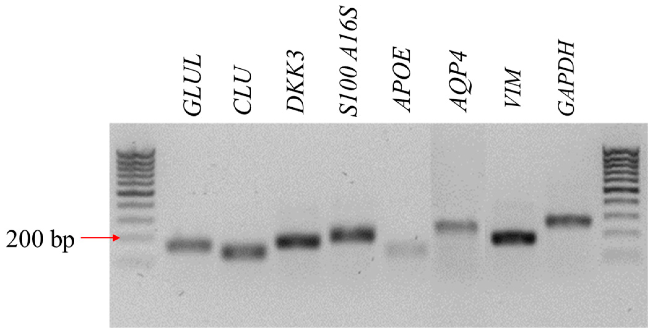 Jcm 08 00510 g002 Jcm 08 00510 g002