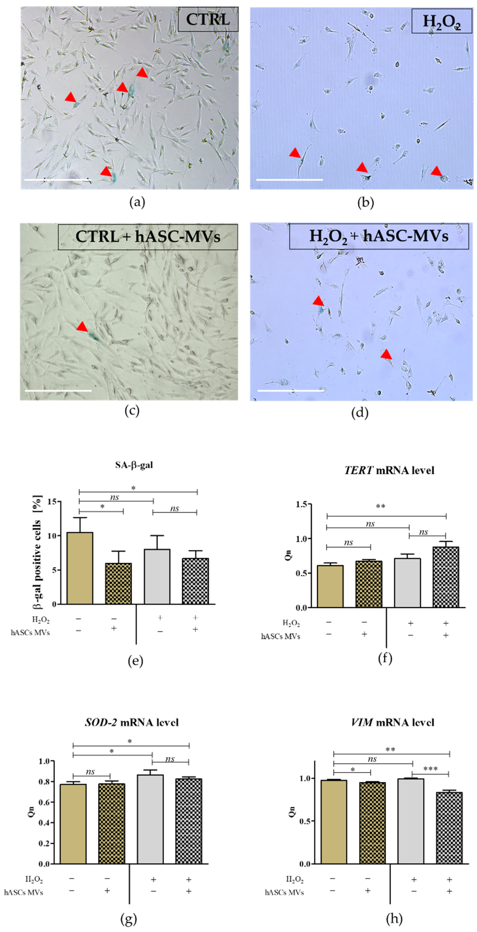 Jcm 08 00510 g006 Jcm 08 00510 g006