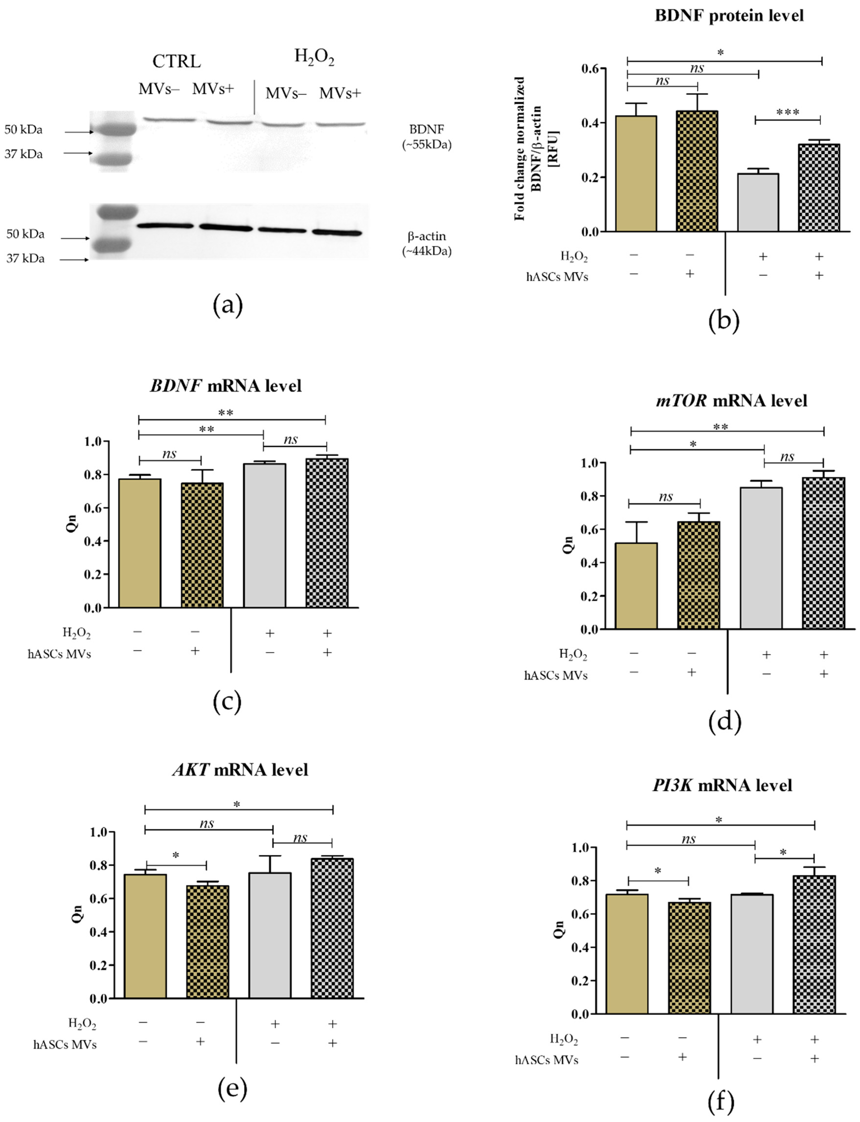 Jcm 08 00510 g007 Jcm 08 00510 g007