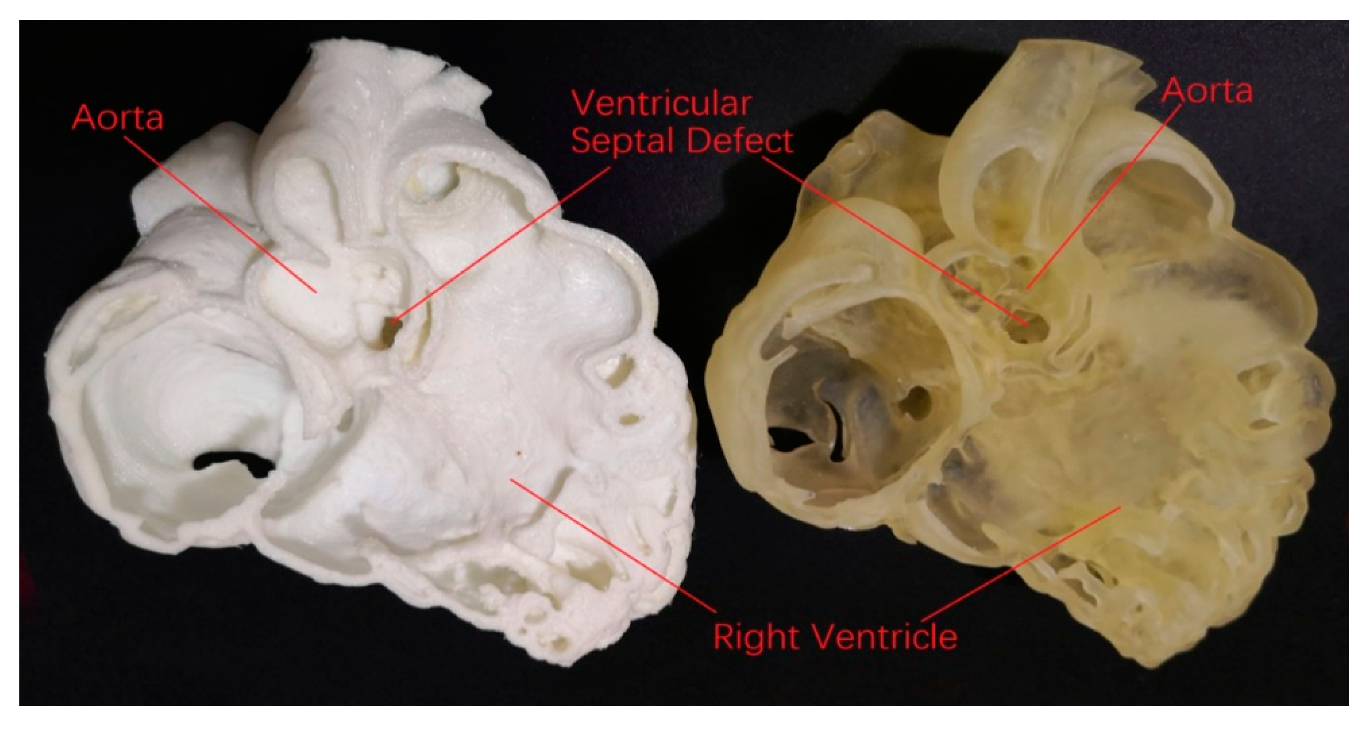 Jcm 08 00522 g009 550