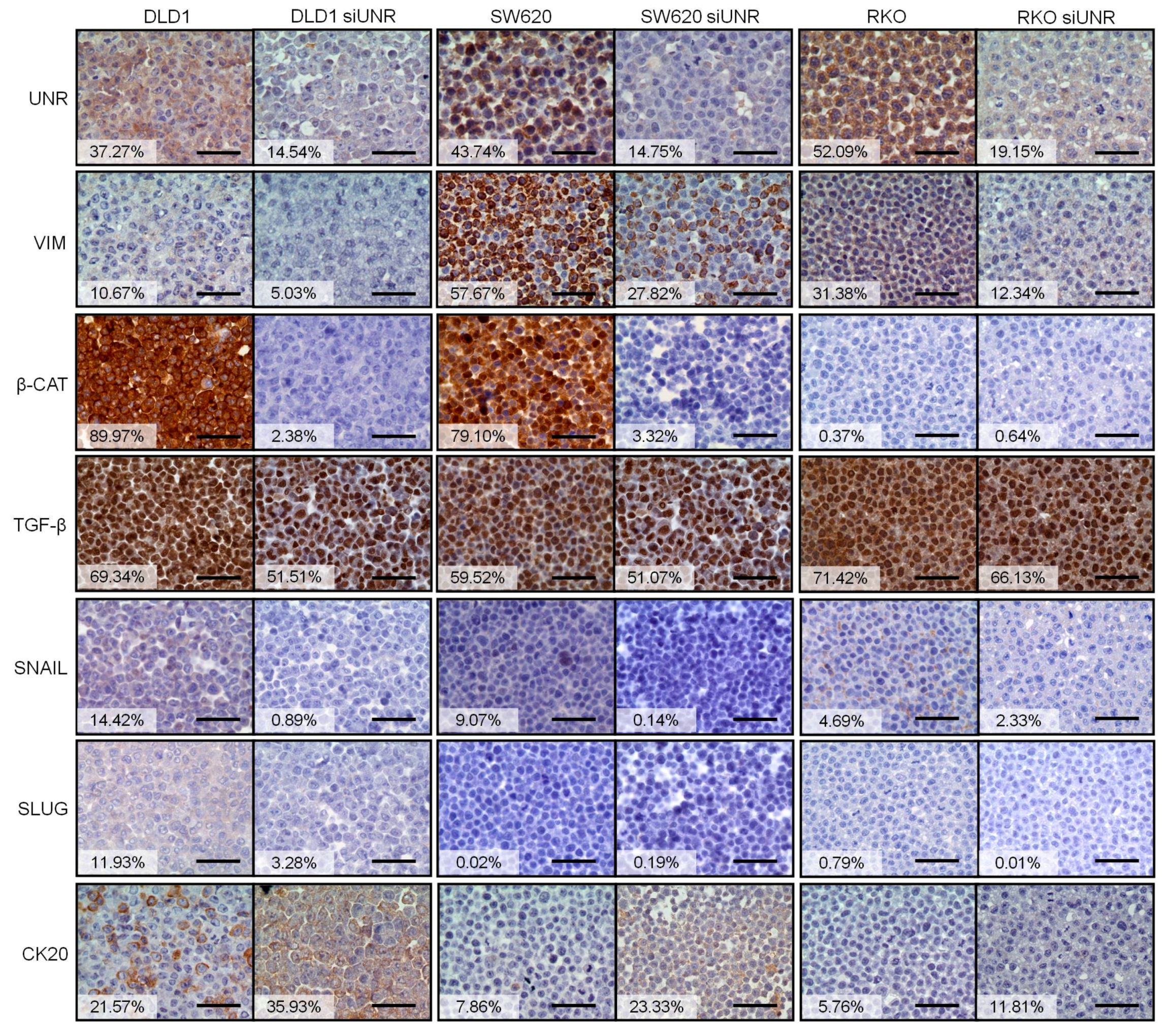 Jcm 08 00560 g003