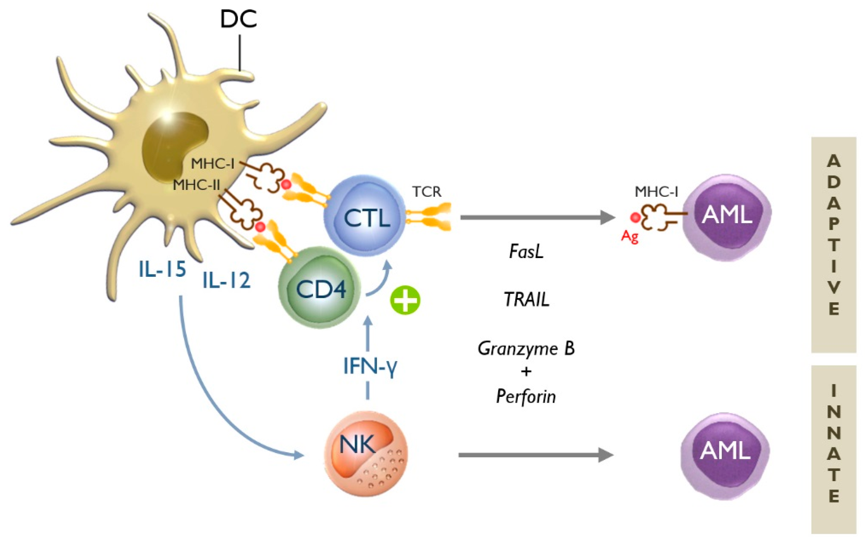 Jcm 08 00579 g001 Jcm 08 00579 g001