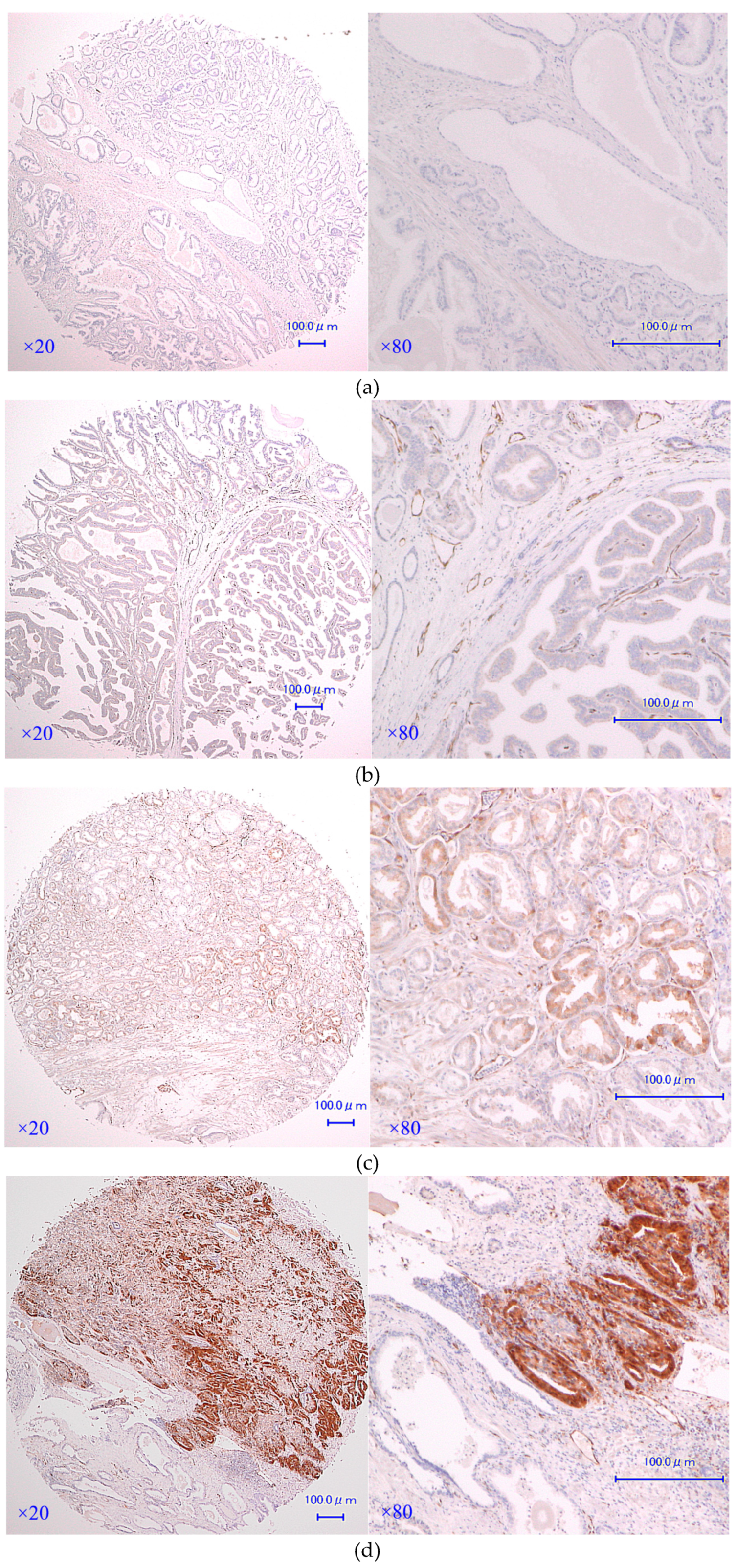 Jcm 08 00601 g001 Jcm 08 00601 g001