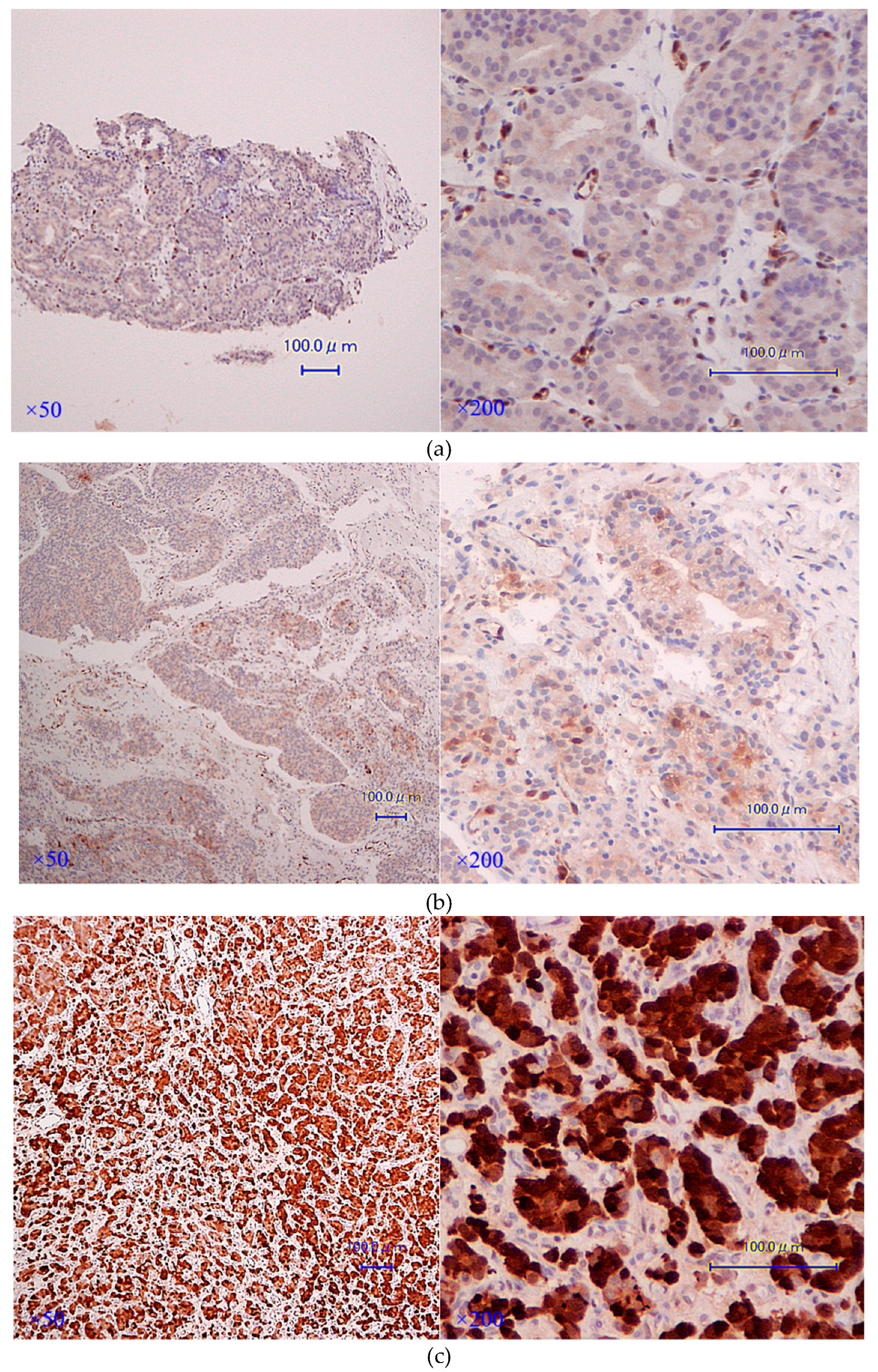 Jcm 08 00601 g004 Jcm 08 00601 g004