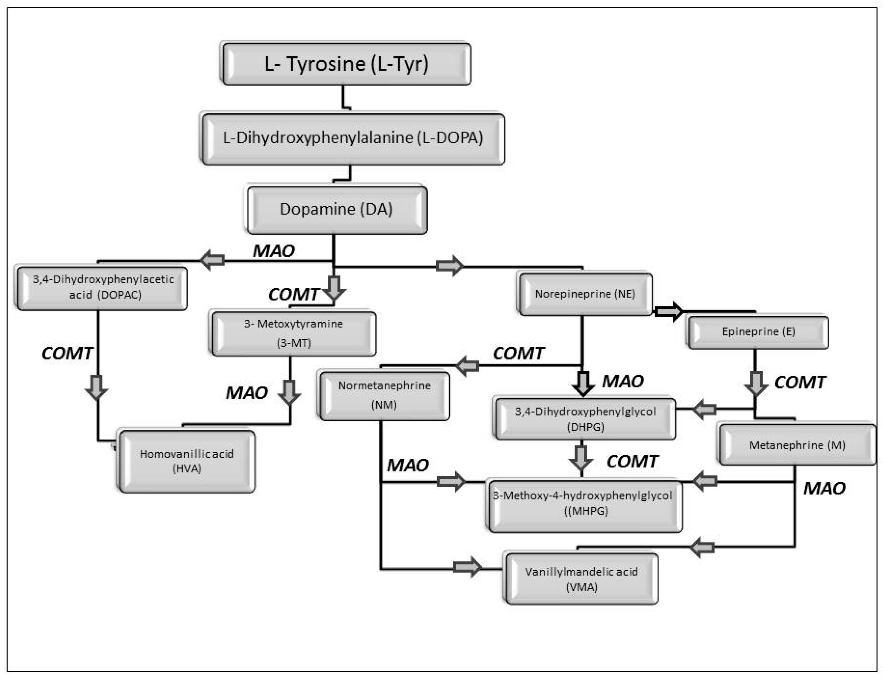 Jcm 08 00640 g002 Jcm 08 00640 g002