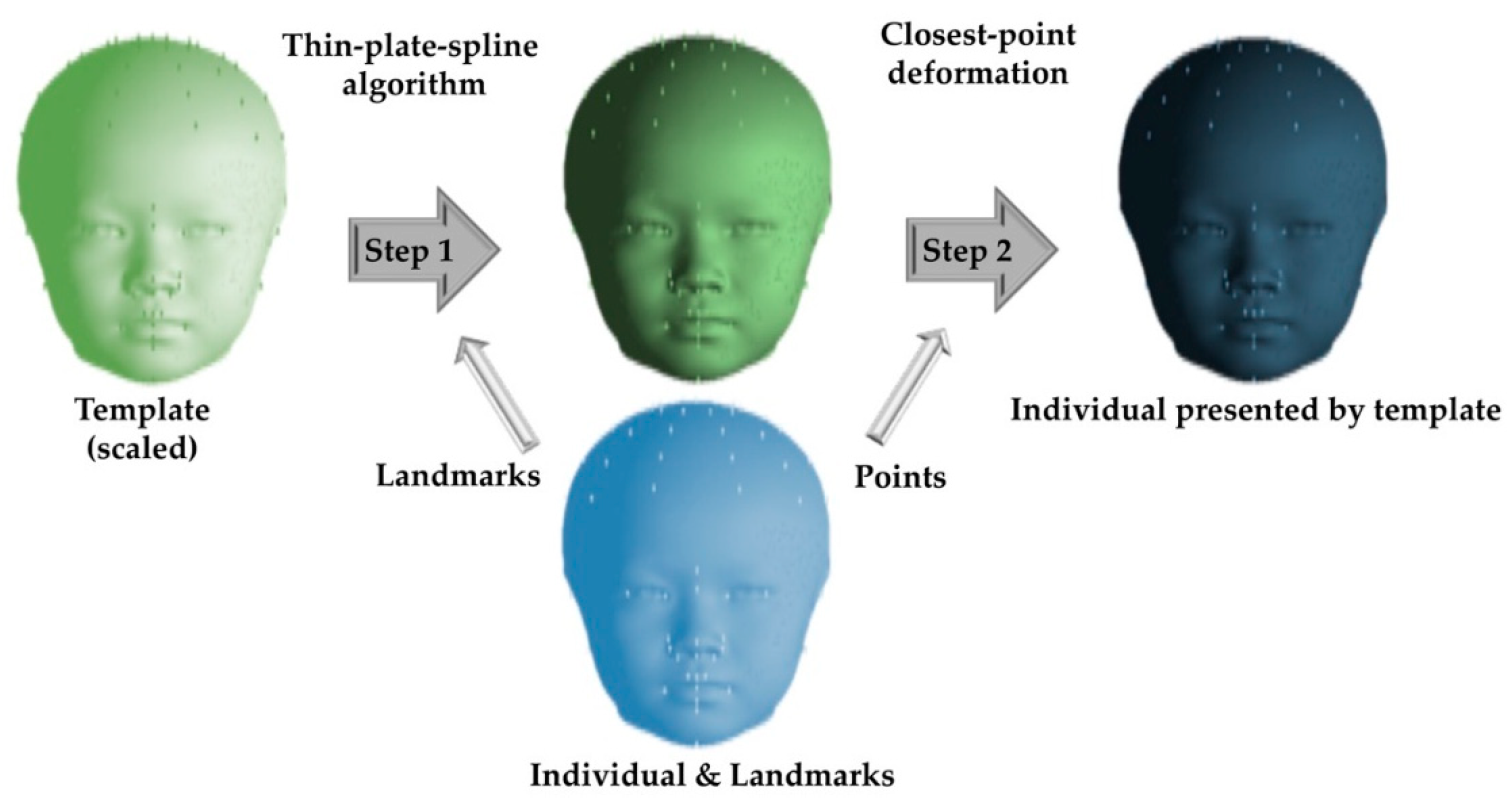 Jcm 08 00648 g002 Jcm 08 00648 g002