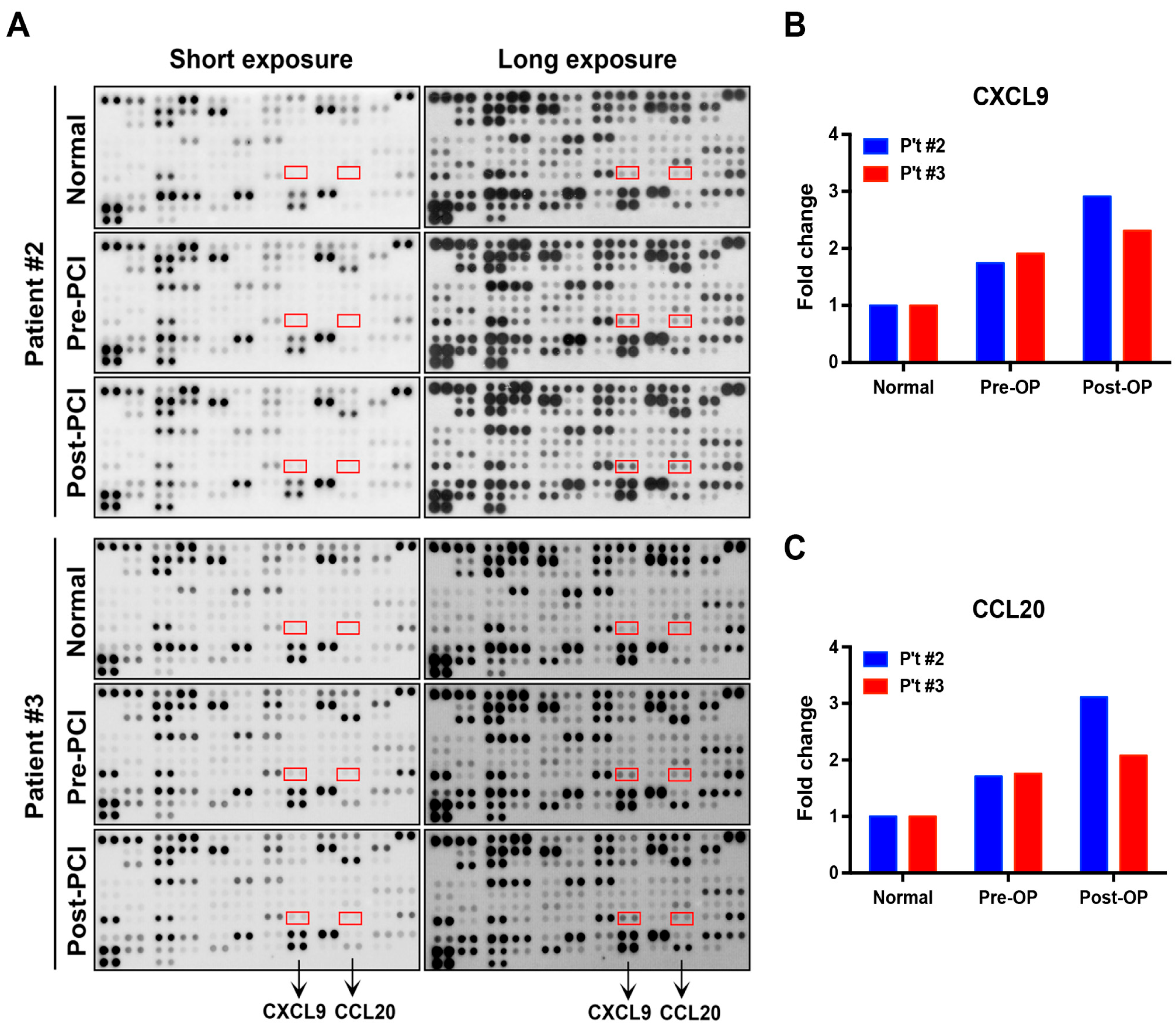 Jcm 08 00659 g001 Jcm 08 00659 g001
