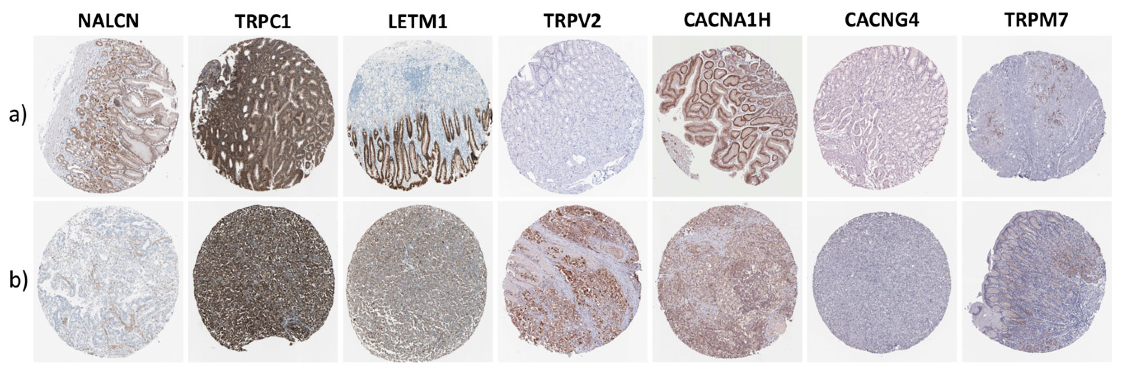 Jcm 08 00662 g006 Jcm 08 00662 g006