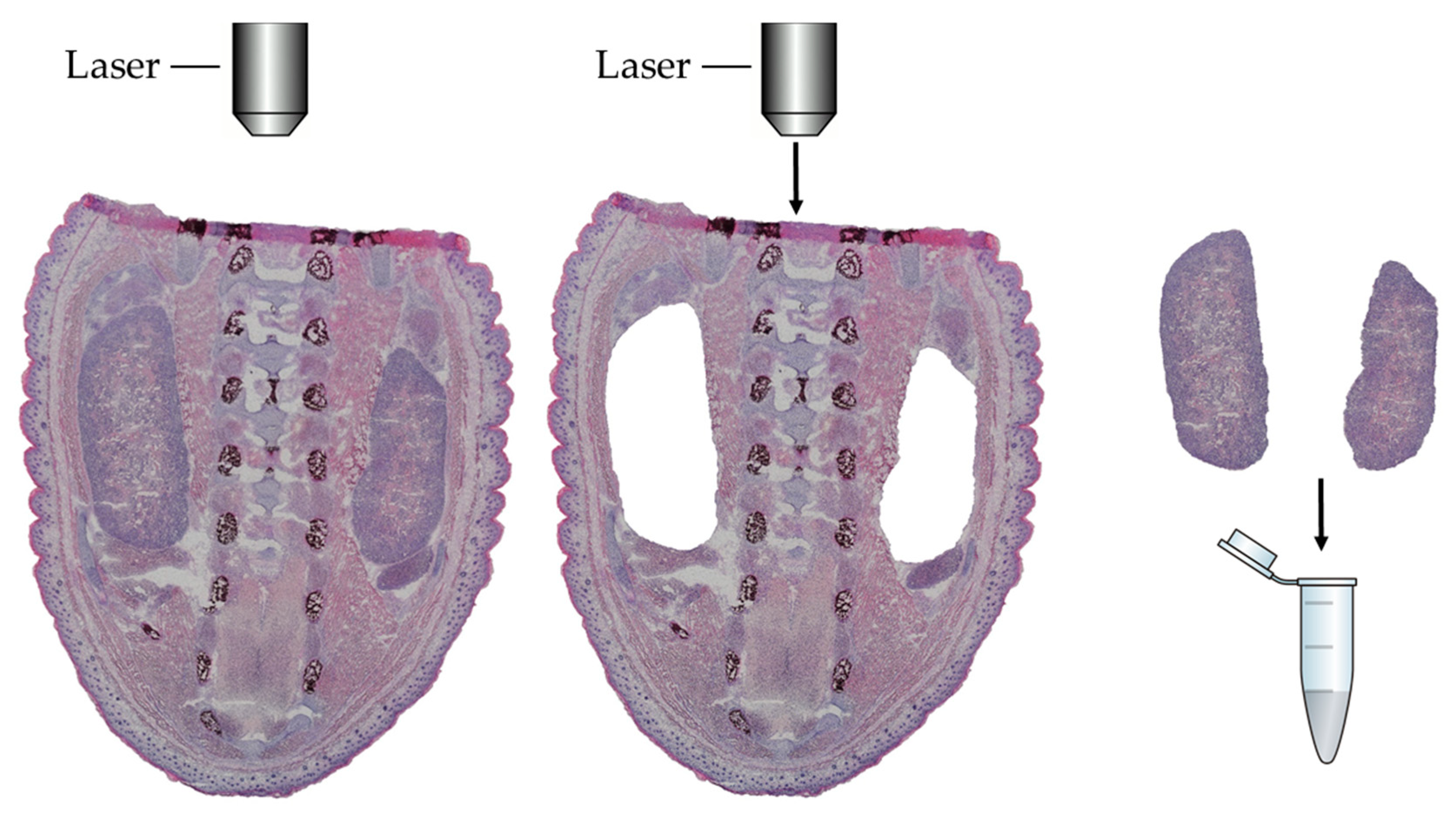 Jcm 08 00663 g001 Jcm 08 00663 g001