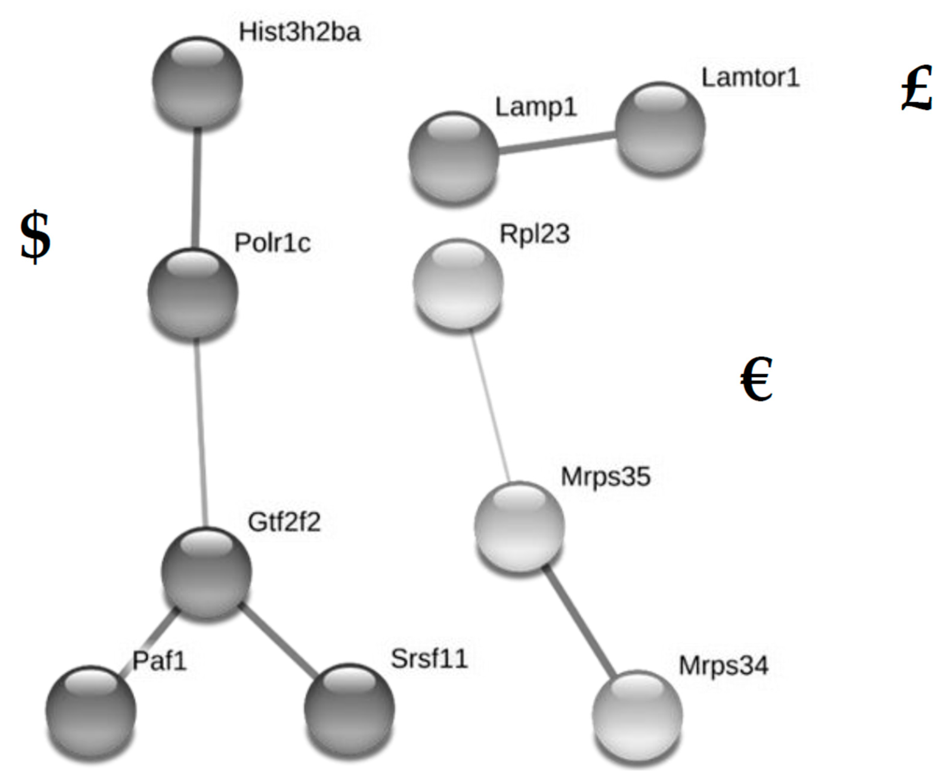 Jcm 08 00663 g005 Jcm 08 00663 g005