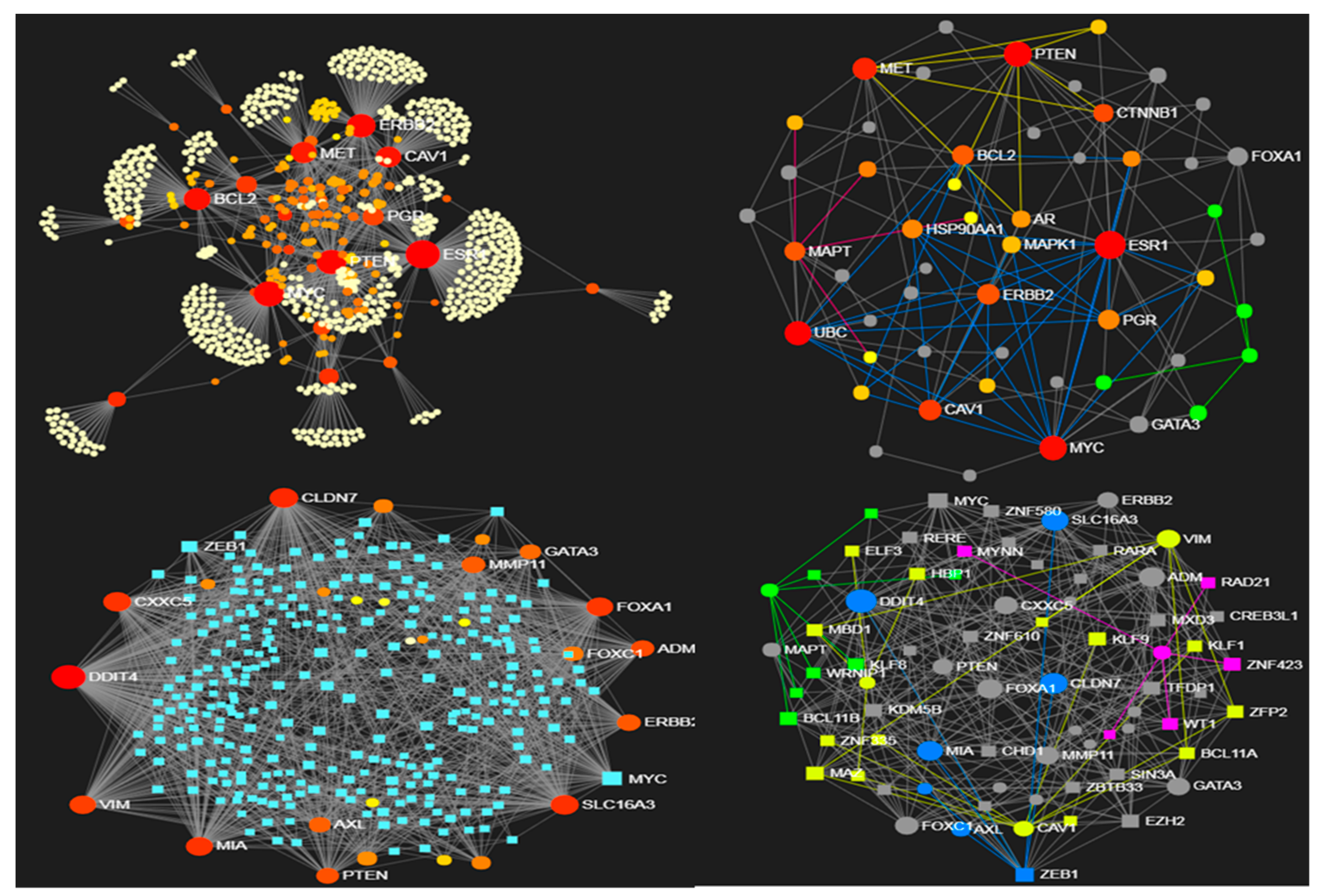 Jcm 08 00664 g002 Jcm 08 00664 g002