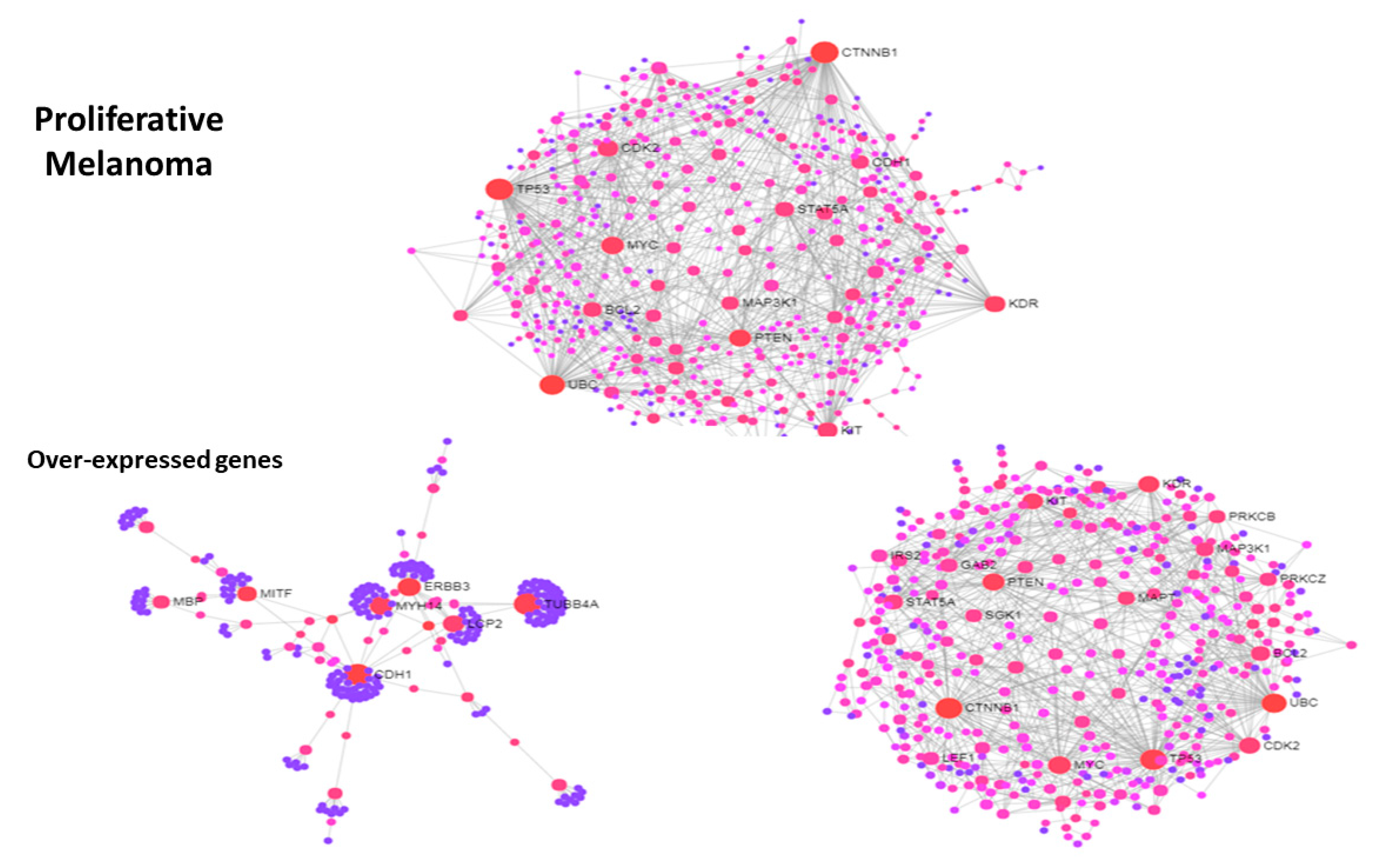 Jcm 08 00664 g004 Jcm 08 00664 g004