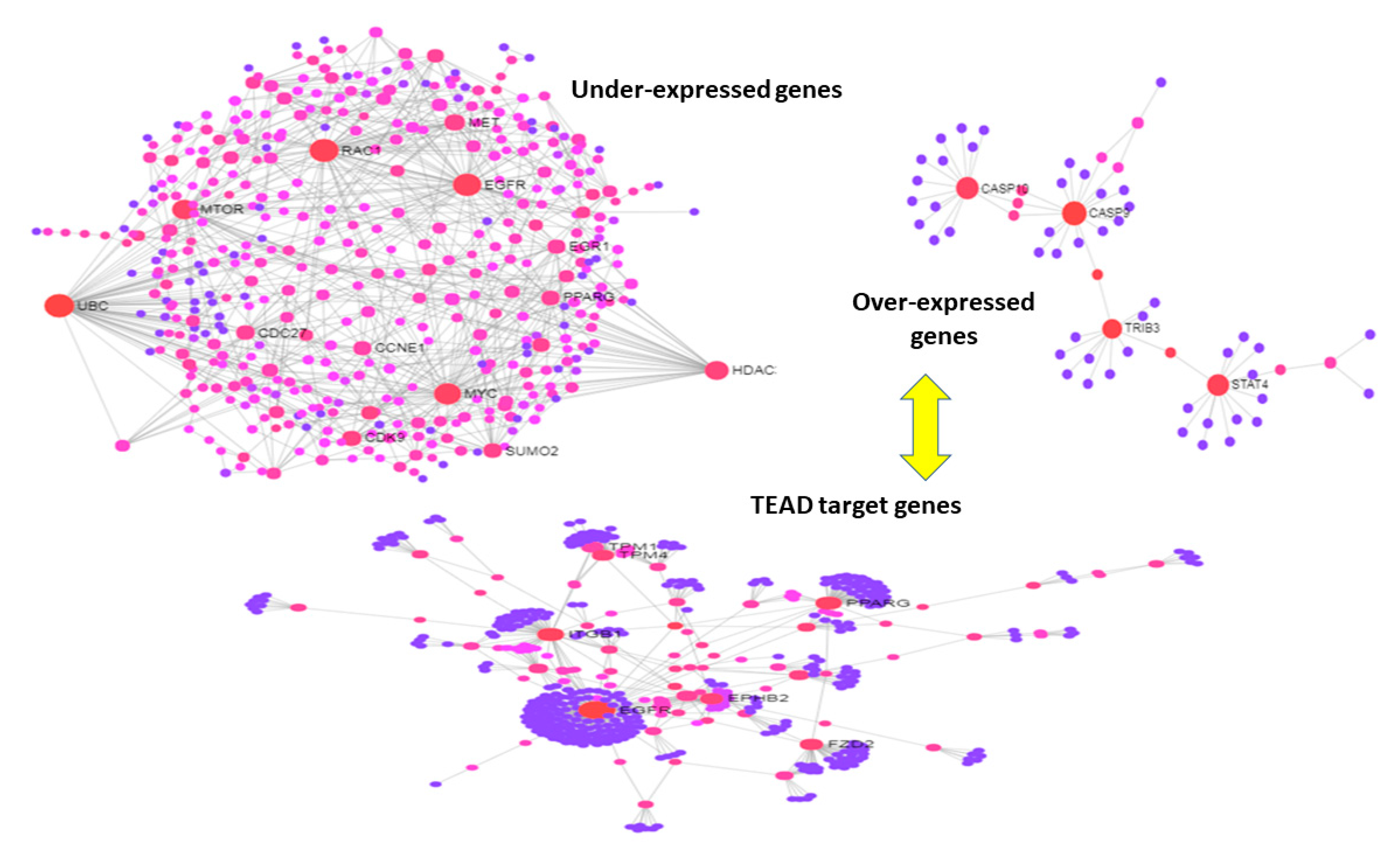 Jcm 08 00664 g006 Jcm 08 00664 g006