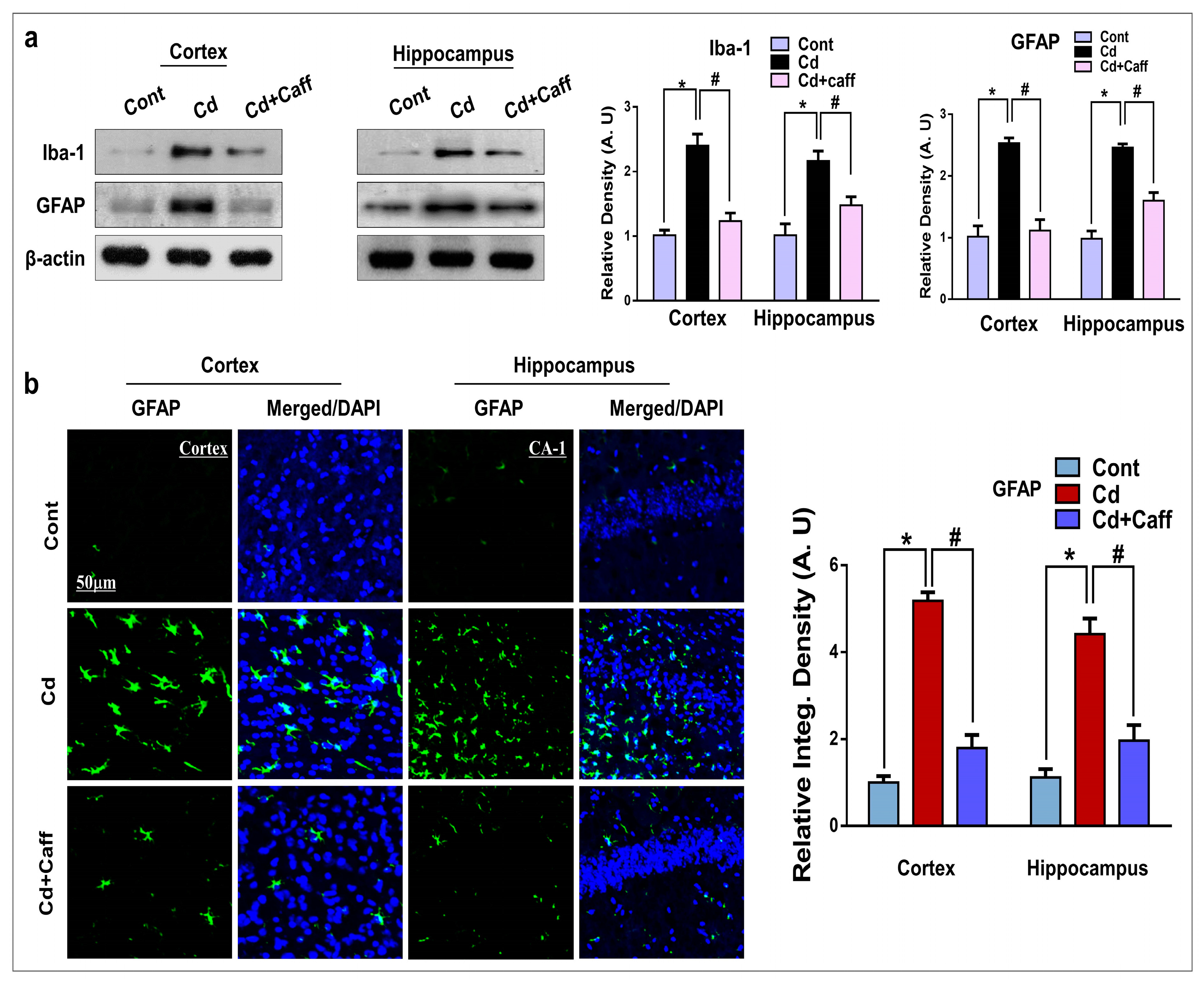 Jcm 08 00680 g005 Jcm 08 00680 g005