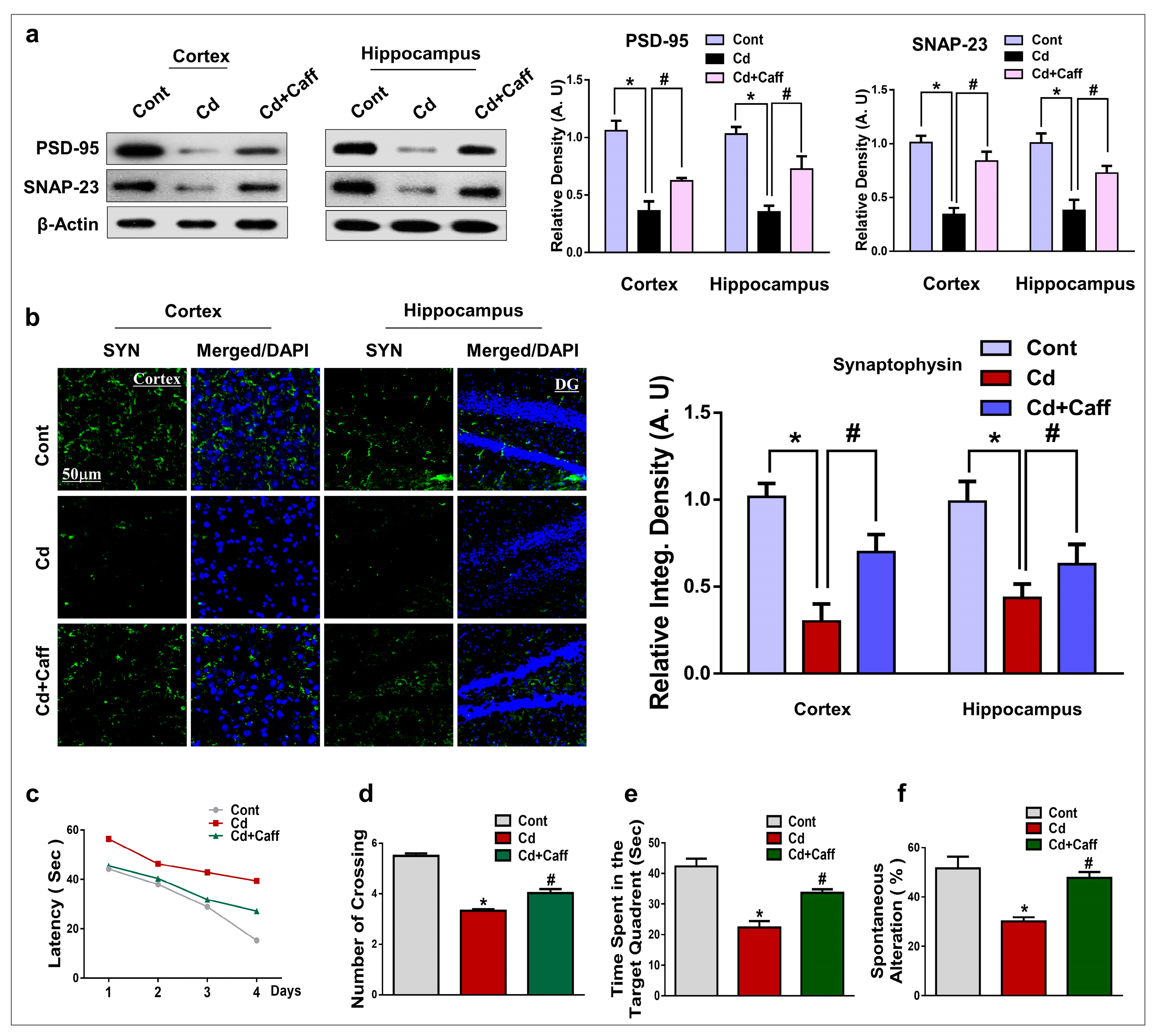 Jcm 08 00680 g008 Jcm 08 00680 g008