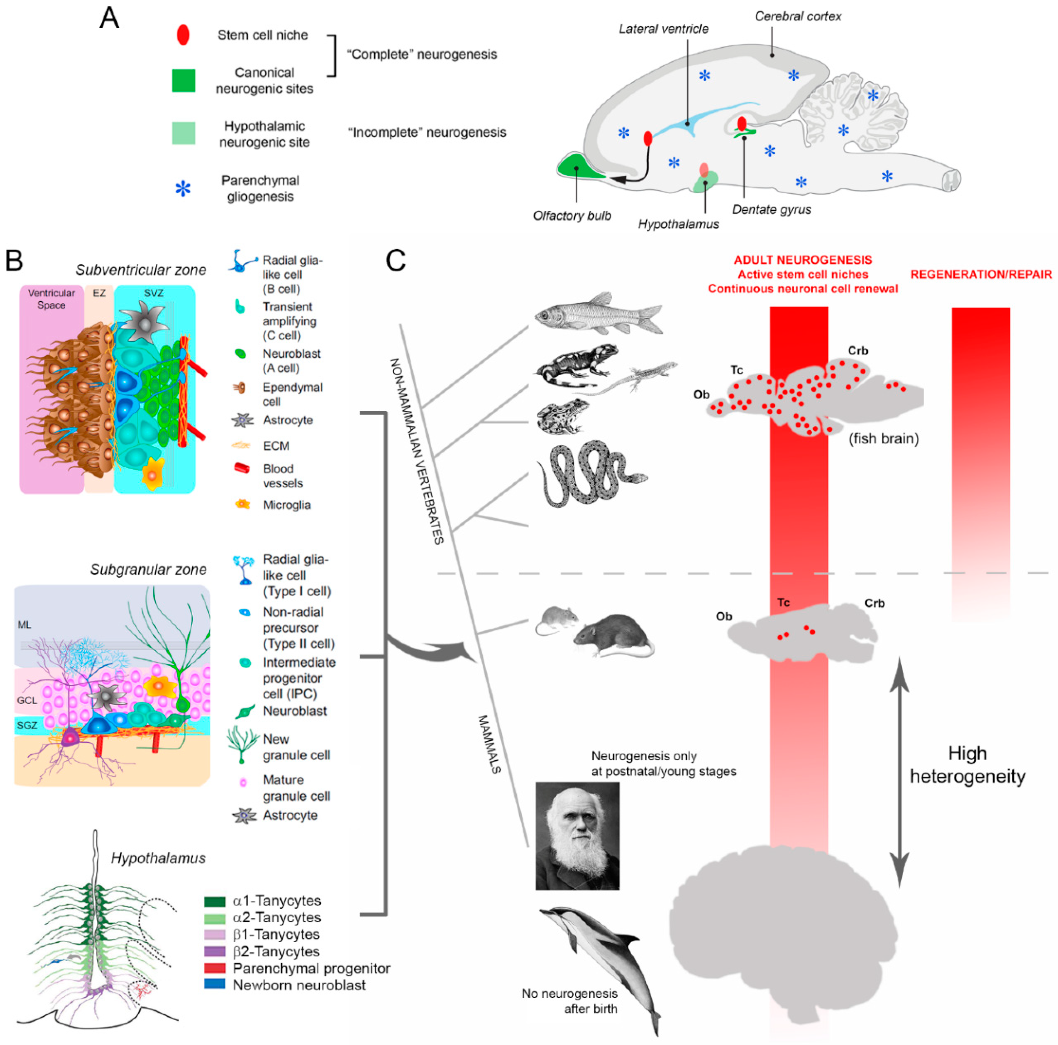 Jcm 08 00685 g002 Jcm 08 00685 g002