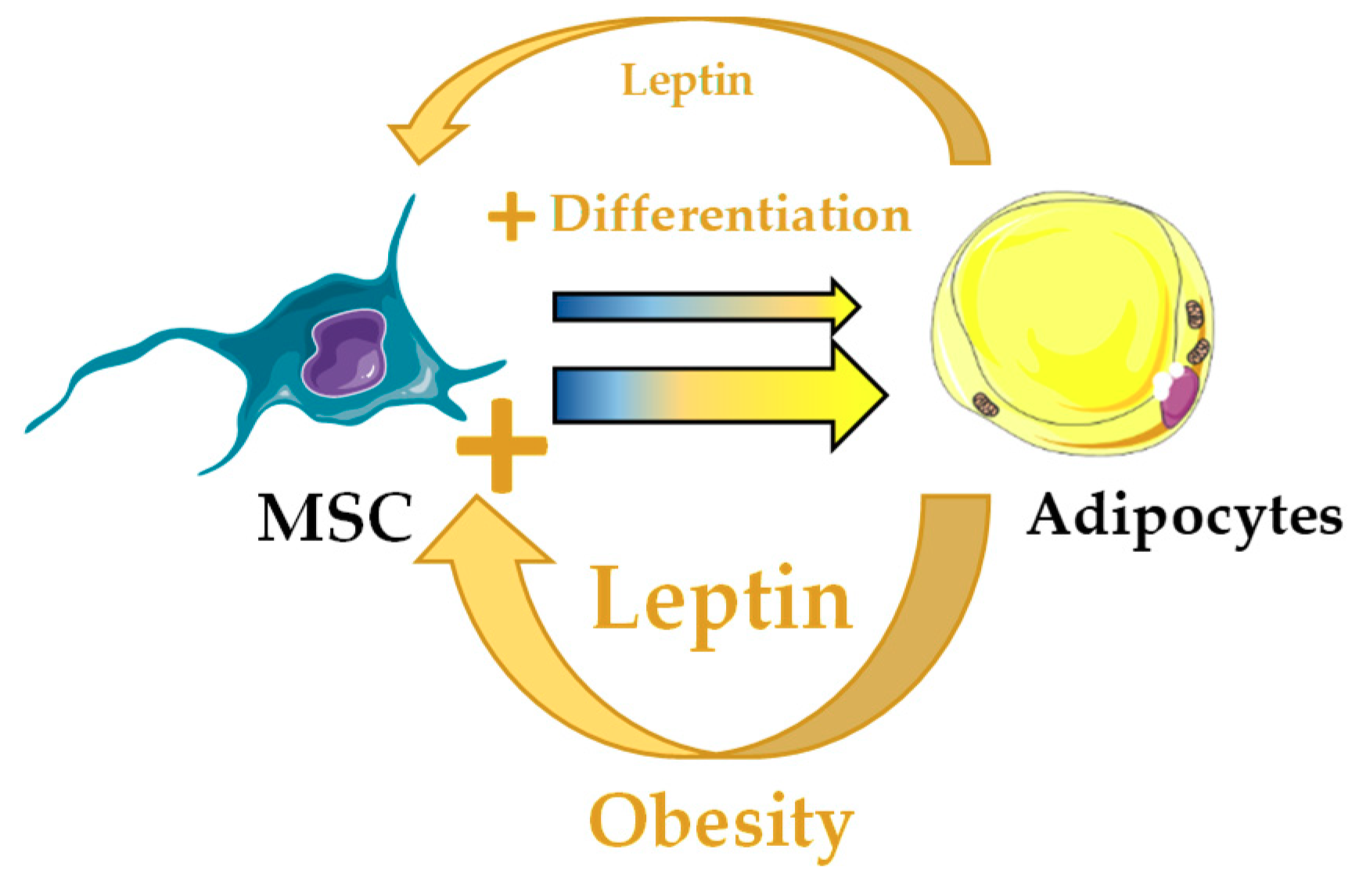 Jcm 08 00707 g005 Jcm 08 00707 g005