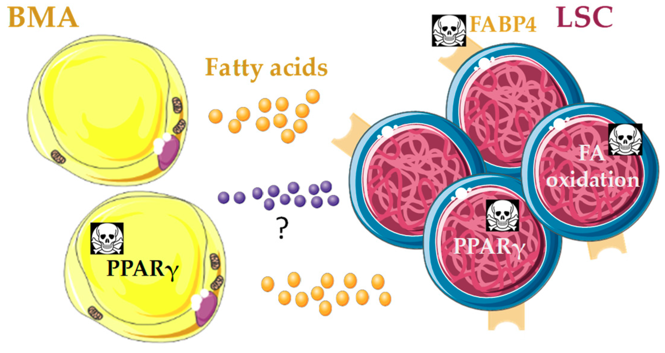 Jcm 08 00707 g006 Jcm 08 00707 g006