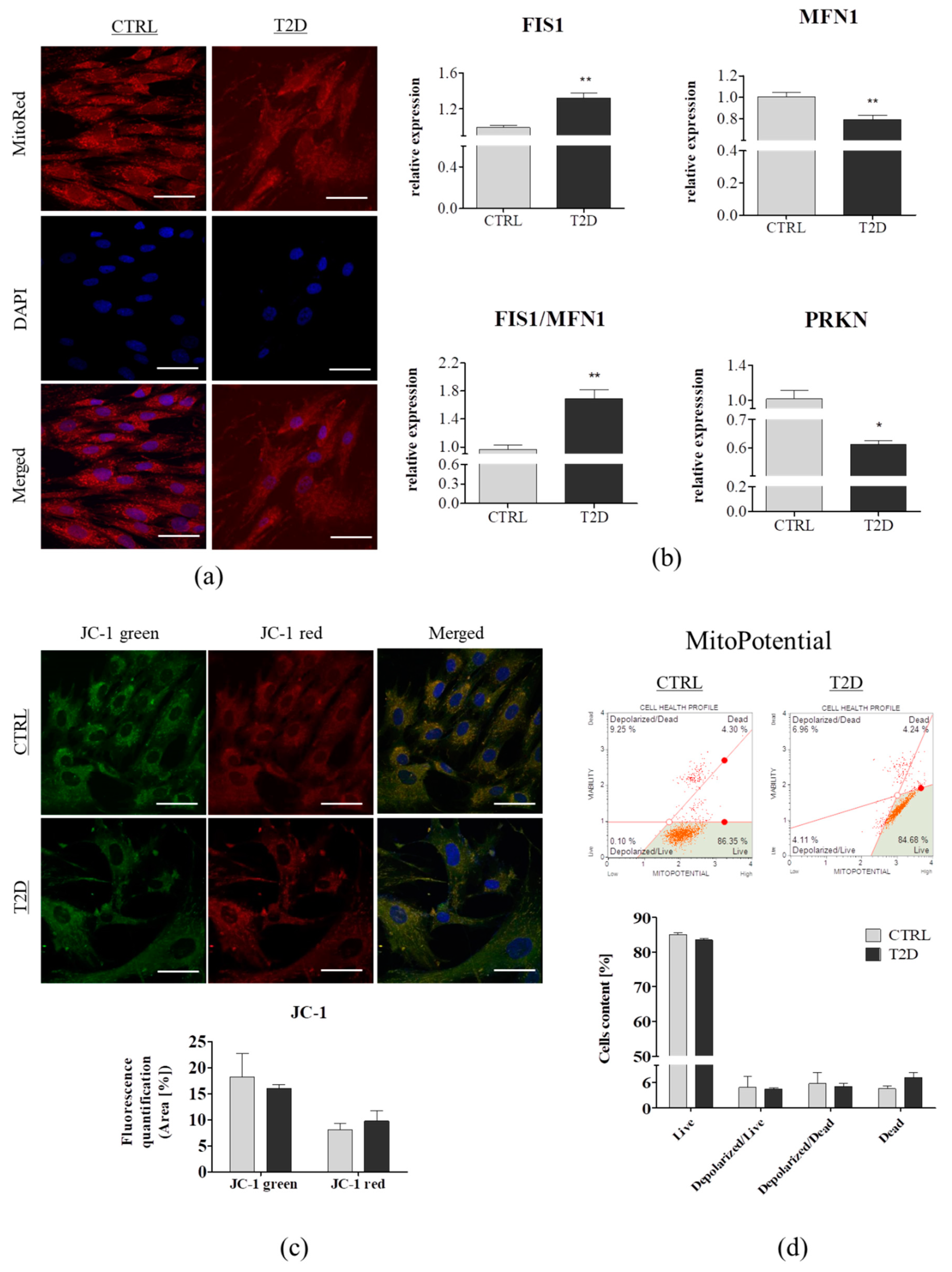 Jcm 08 00765 g003 Jcm 08 00765 g003