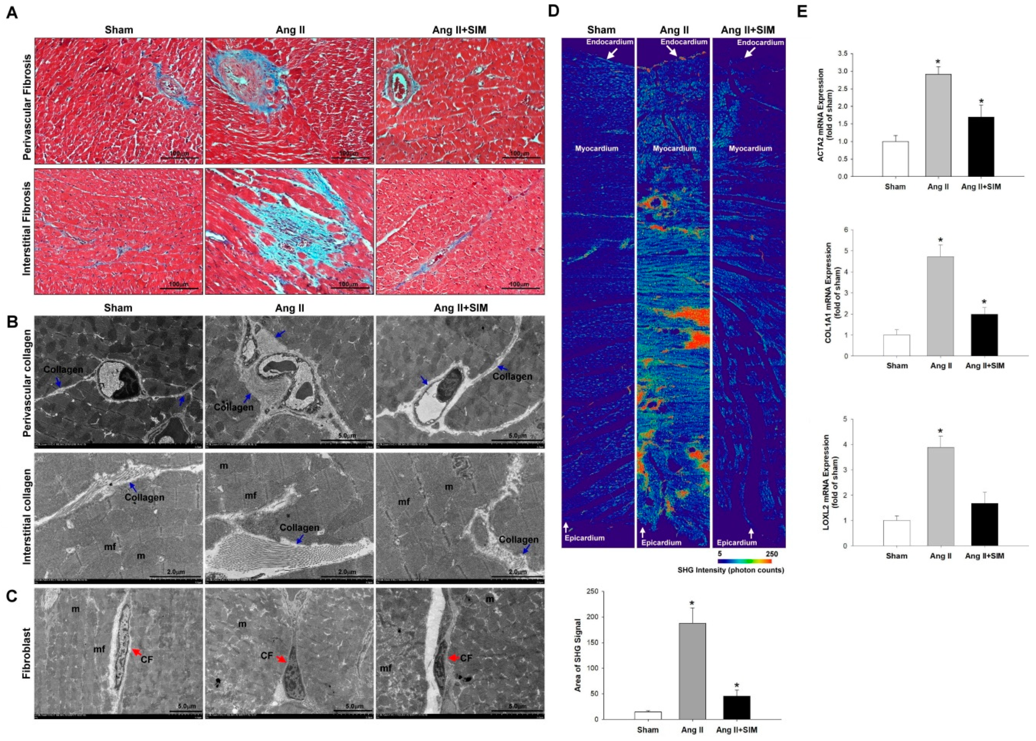 Jcm 08 00794 g001 Jcm 08 00794 g001