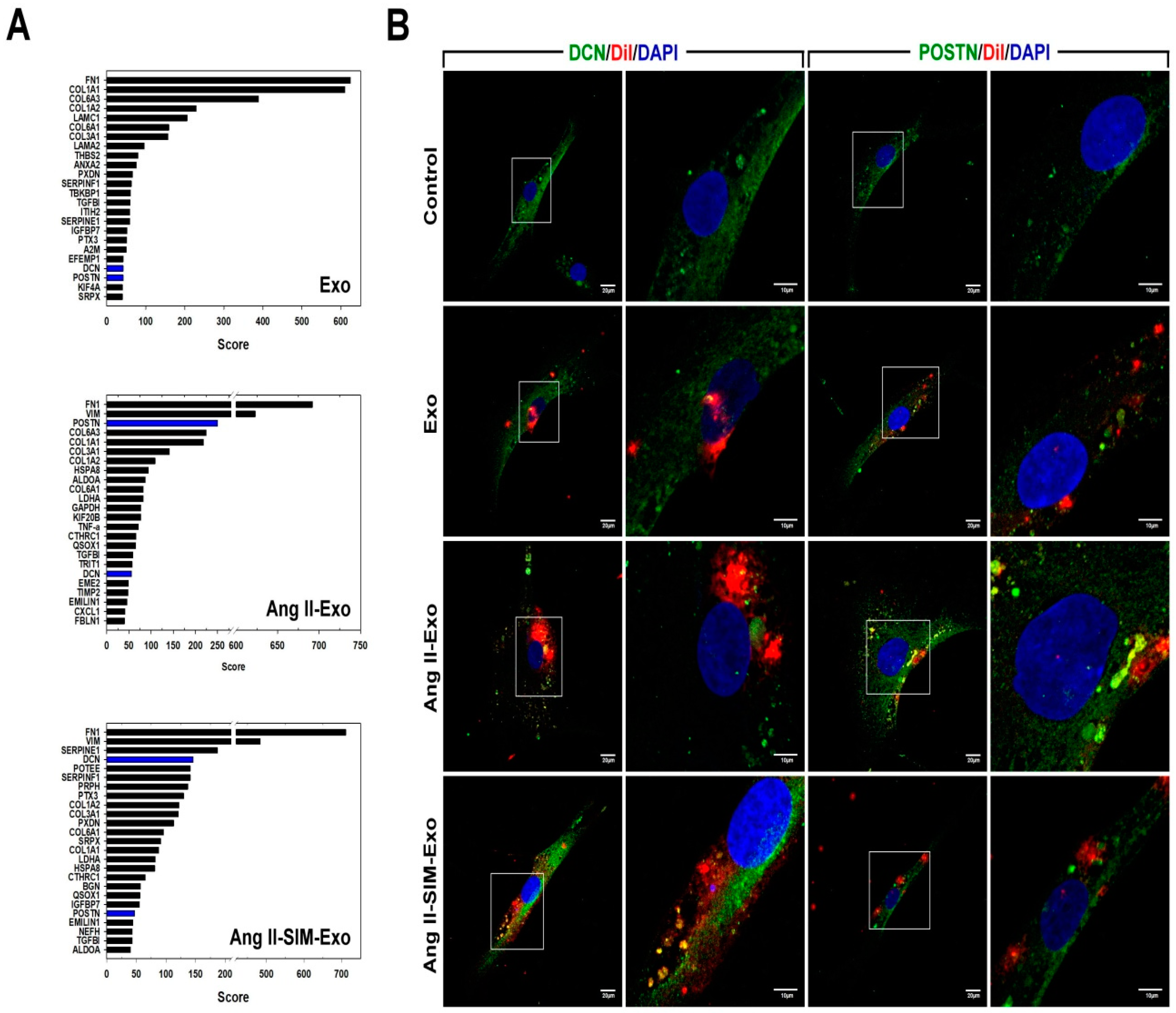 Jcm 08 00794 g006 Jcm 08 00794 g006