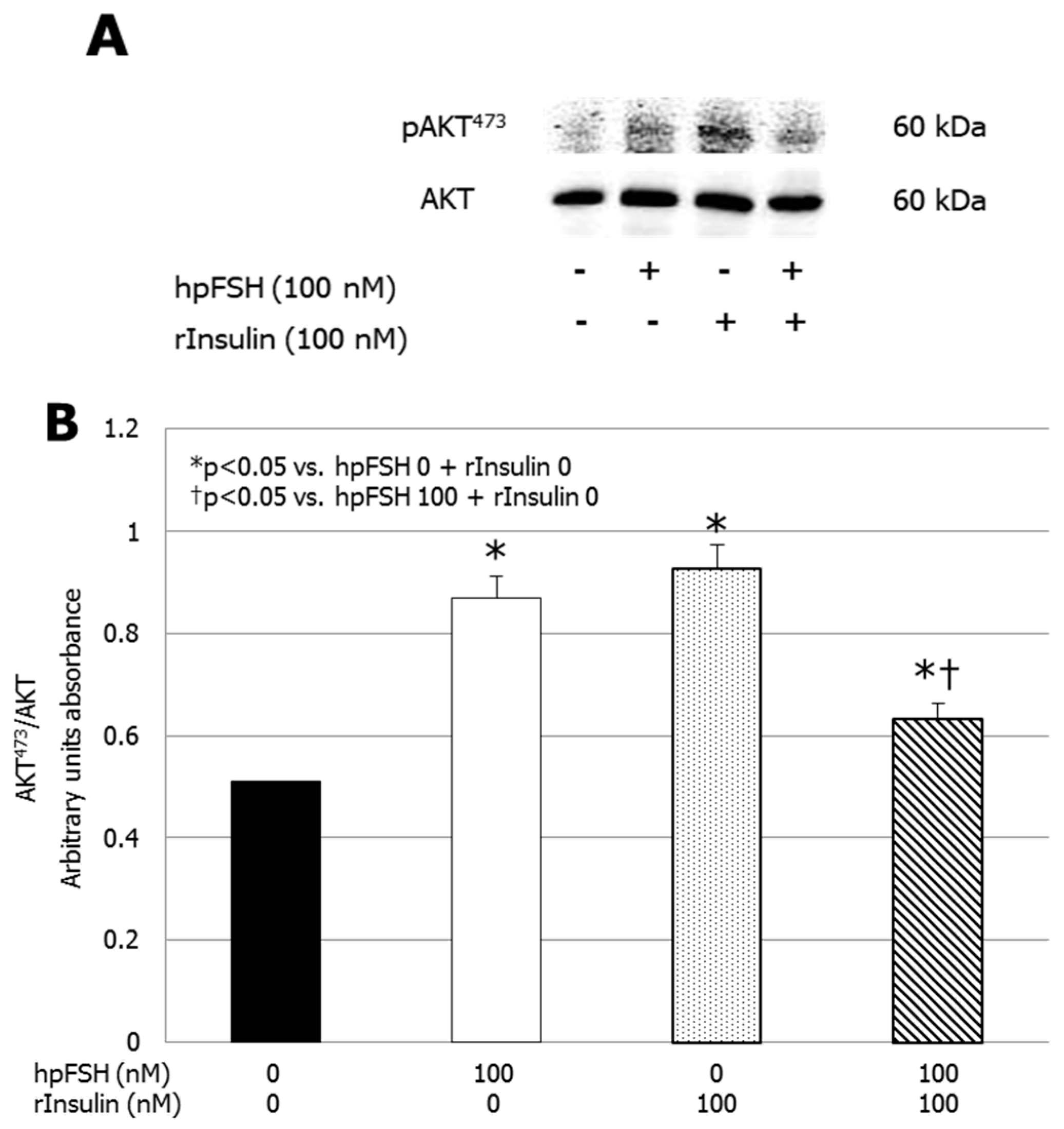 Jcm 08 00809 g003 Jcm 08 00809 g003
