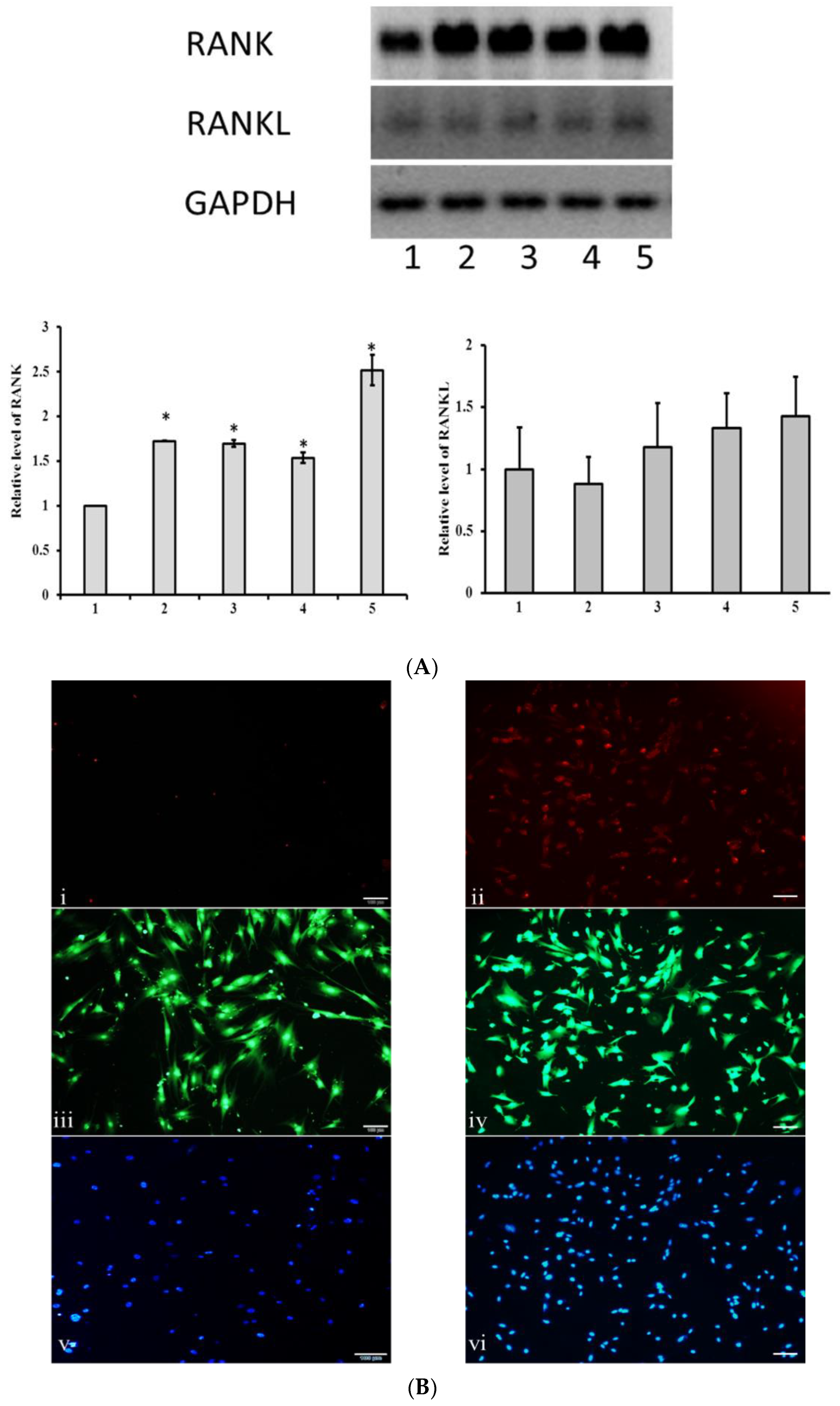 Jcm 08 00836 g005 Jcm 08 00836 g005