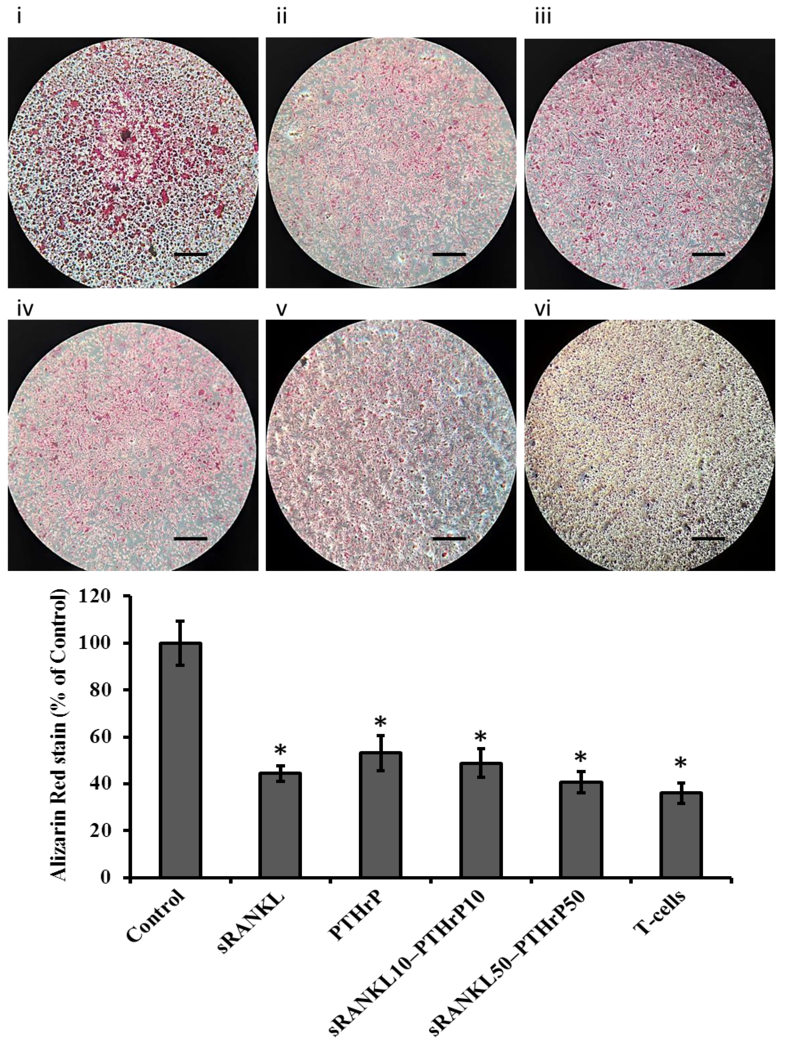 Jcm 08 00836 g008 Jcm 08 00836 g008