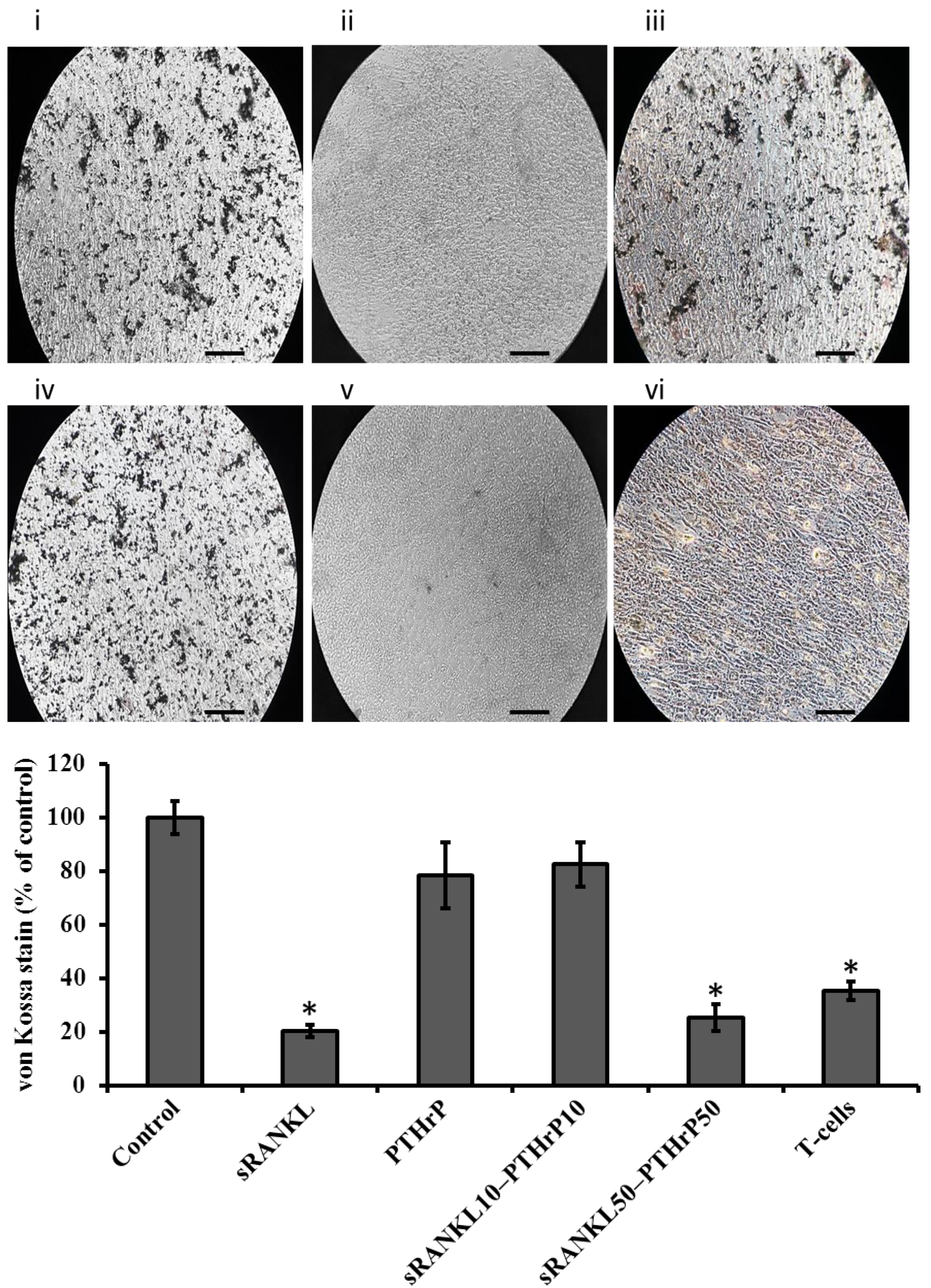 Jcm 08 00836 g009 Jcm 08 00836 g009