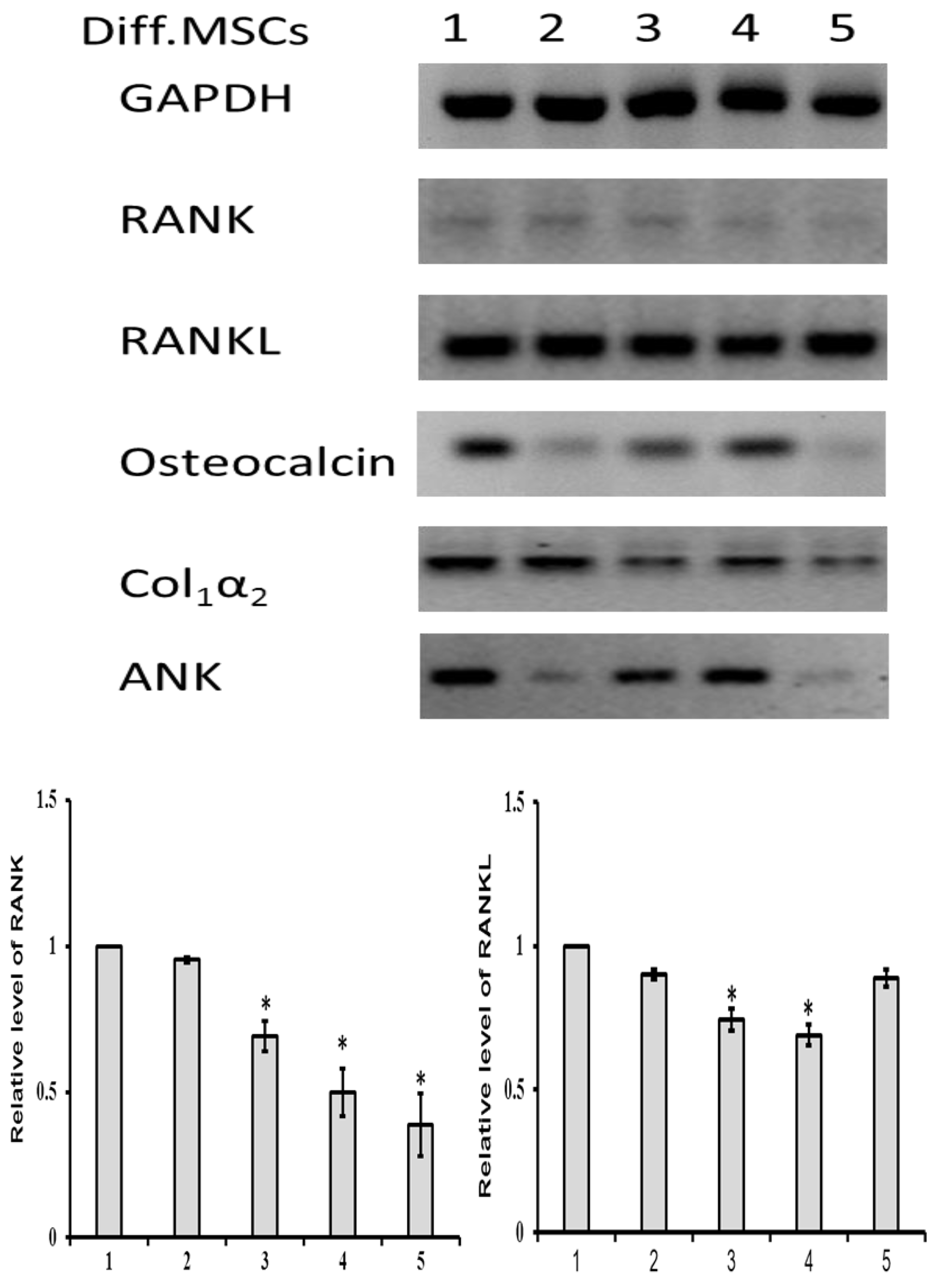 Jcm 08 00836 g010a Jcm 08 00836 g010a