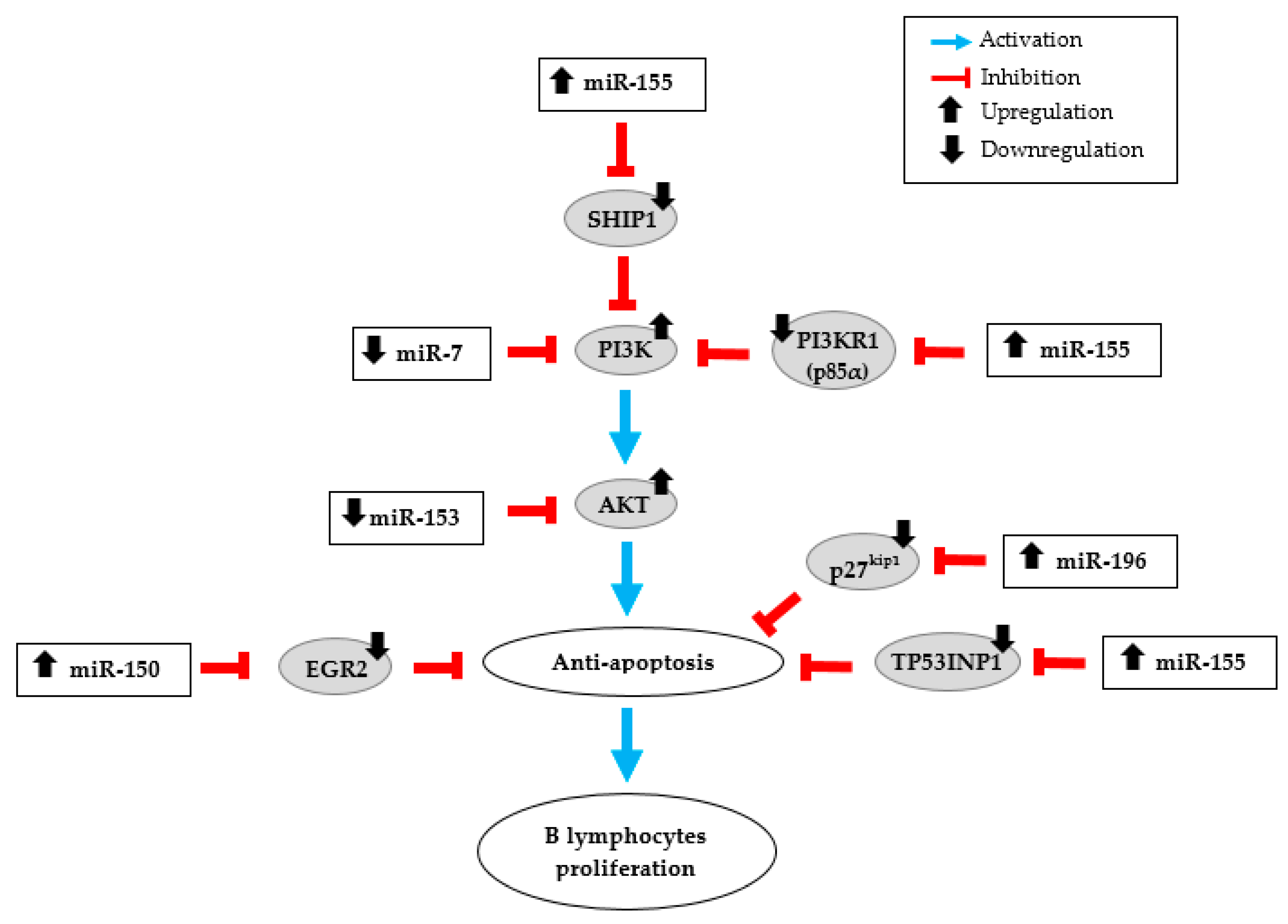 Jcm 08 00845 g003 Jcm 08 00845 g003