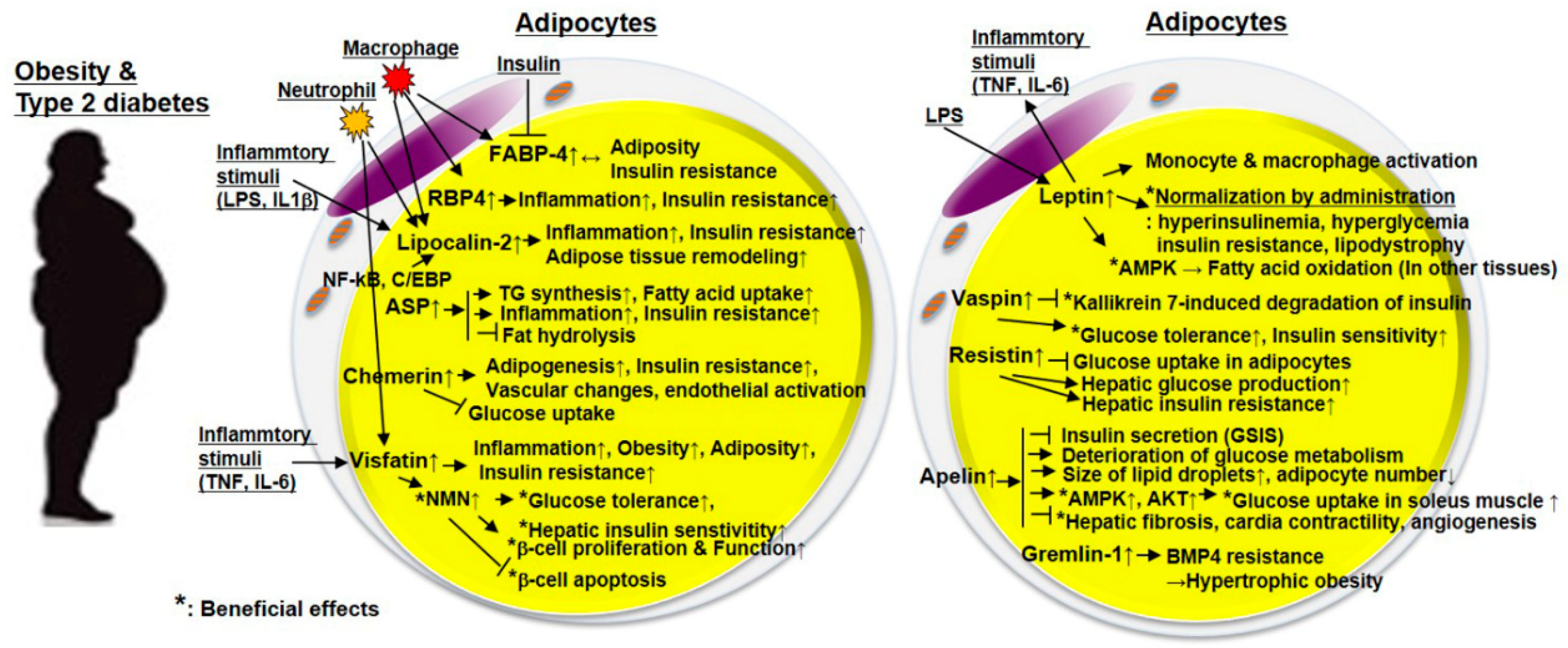 Jcm 08 00854 g003 Jcm 08 00854 g003