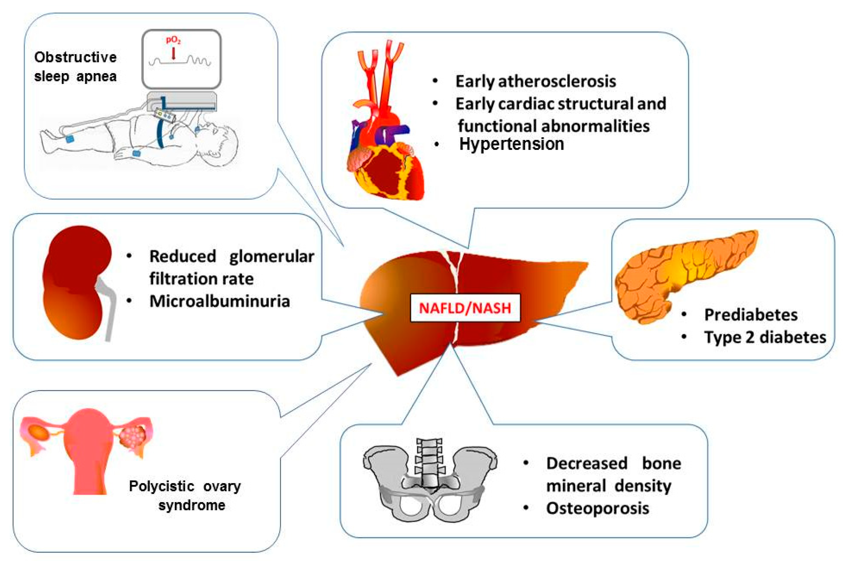 Jcm 08 00868 g001 Jcm 08 00868 g001