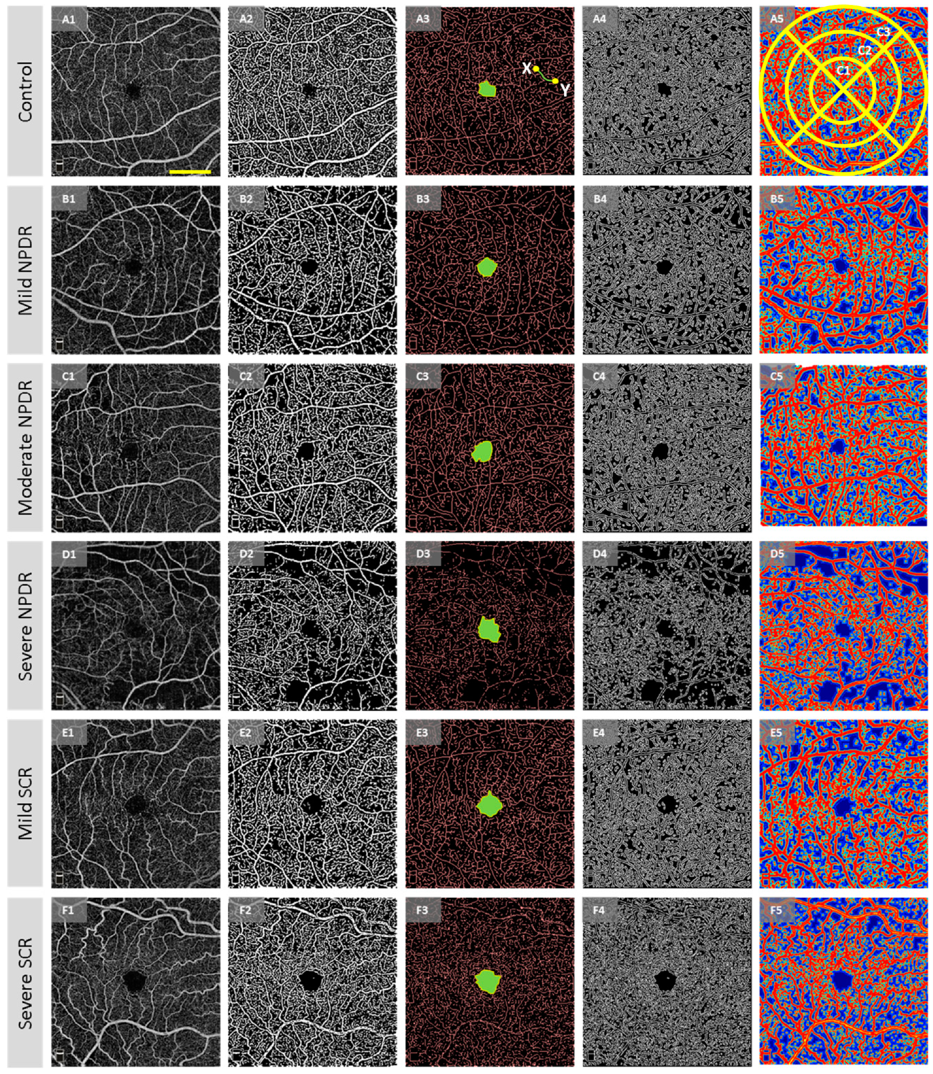 Jcm 08 00872 g002 Jcm 08 00872 g002