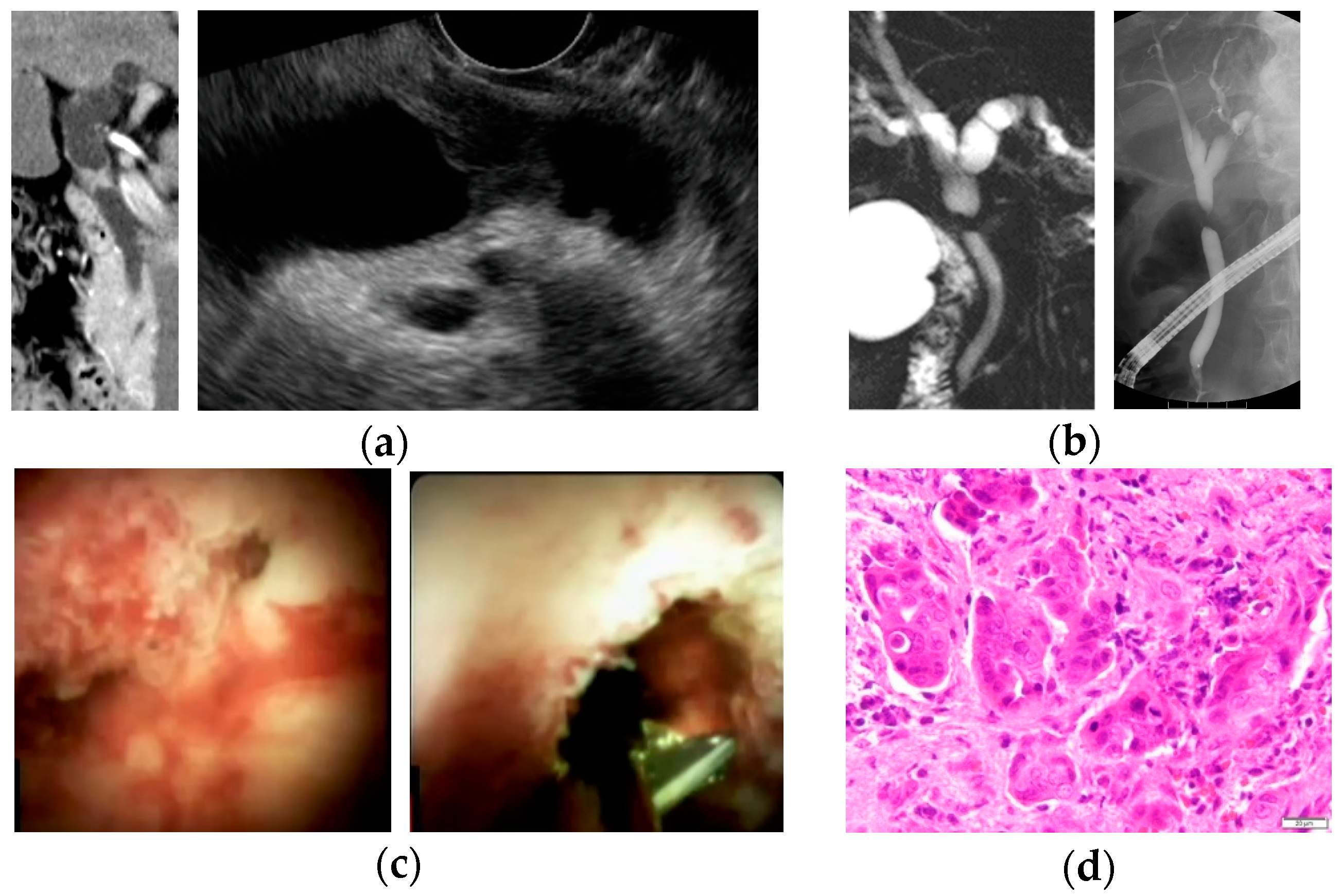 Jcm 08 00873 g002 Jcm 08 00873 g002