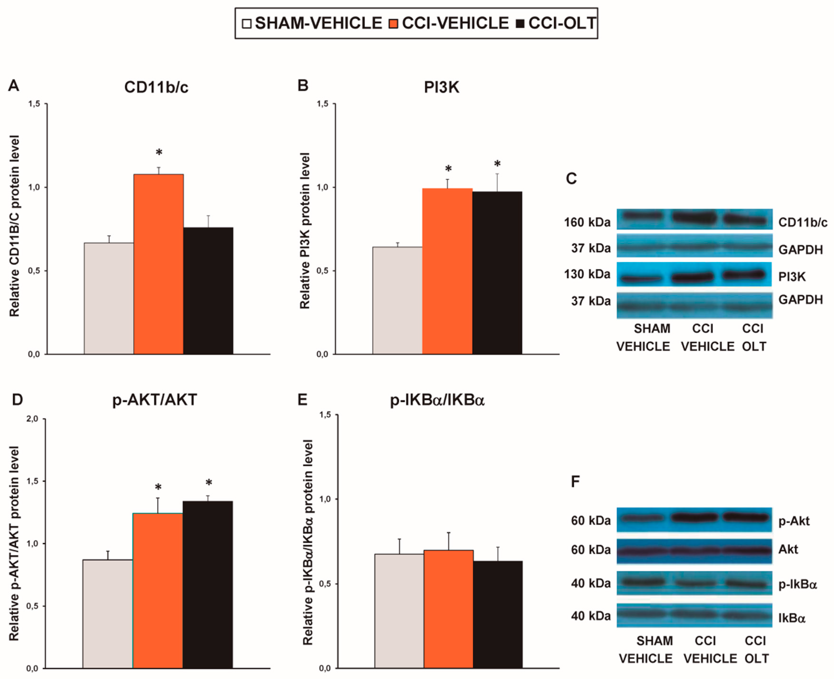 Jcm 08 00890 g006 Jcm 08 00890 g006