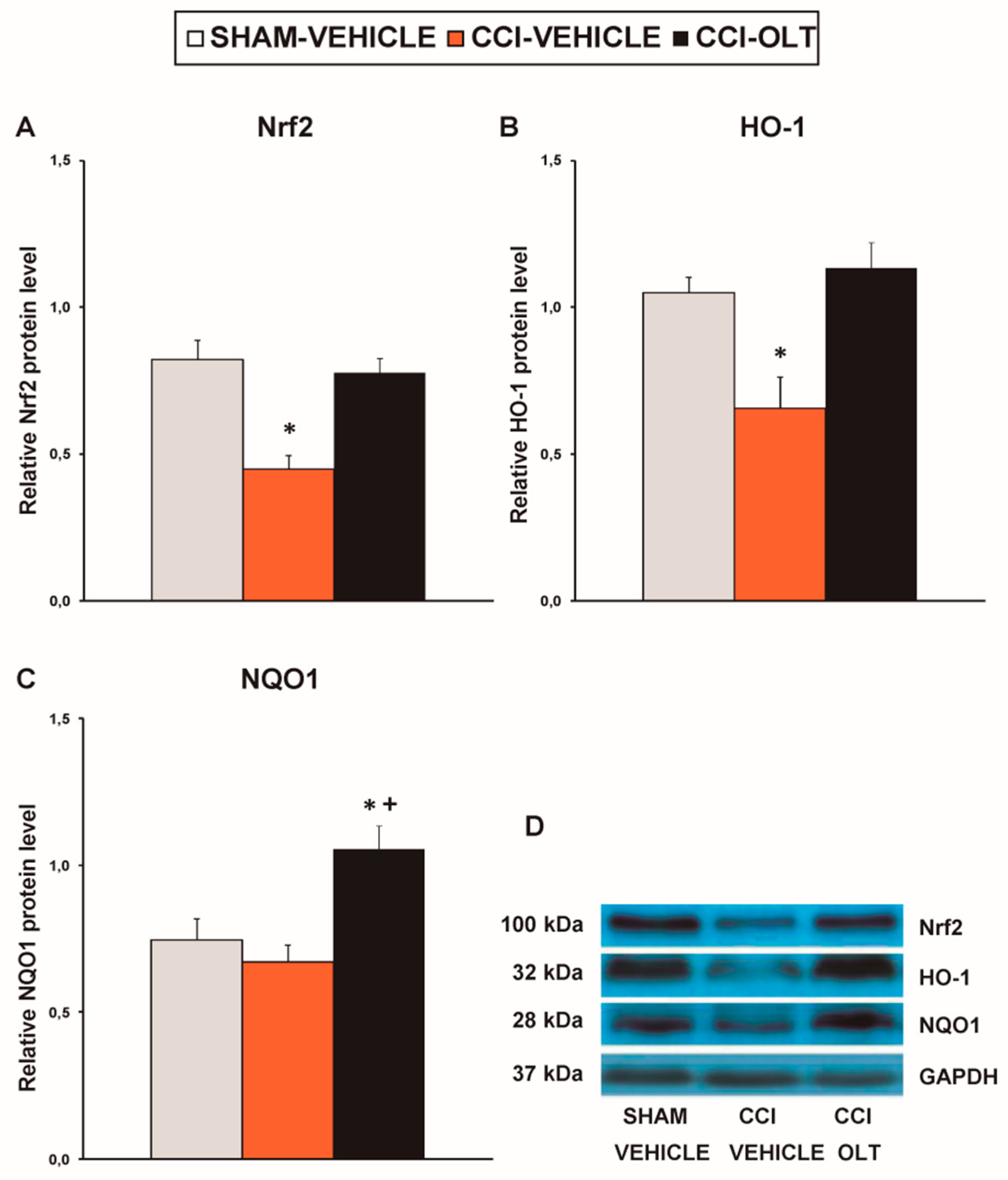 Jcm 08 00890 g009 Jcm 08 00890 g009