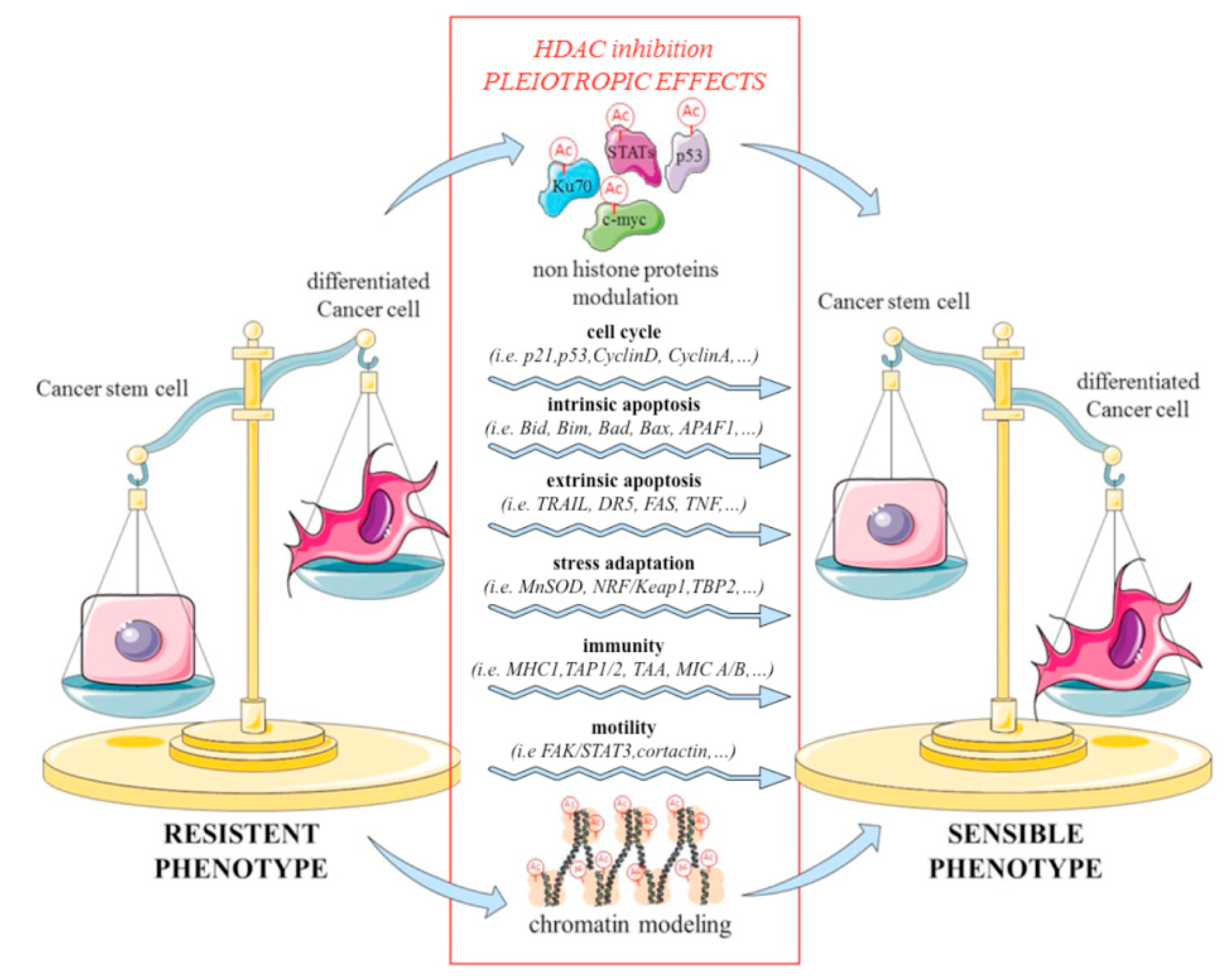 Jcm 08 00912 g003 Jcm 08 00912 g003