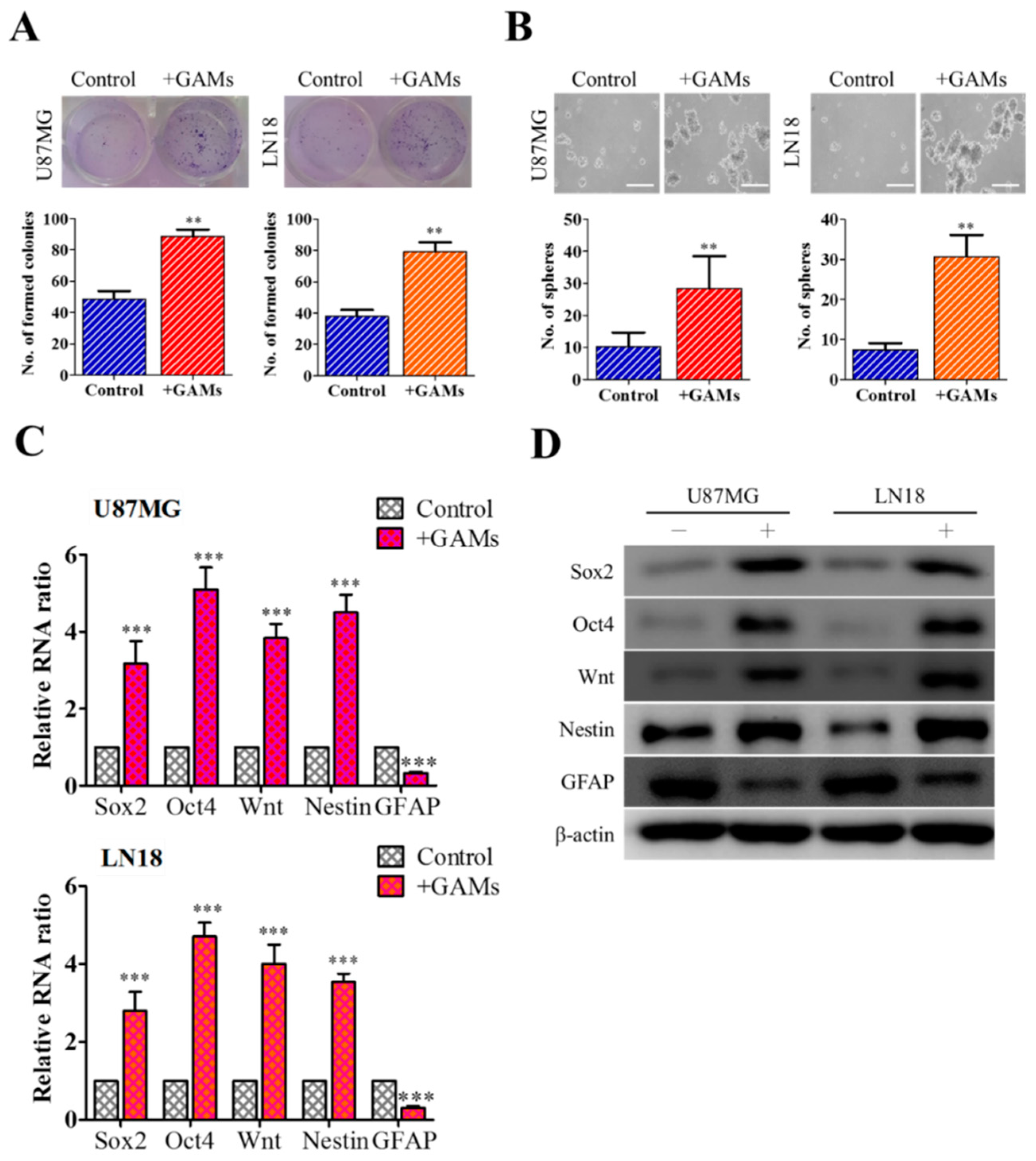 Jcm 08 00959 g001 Jcm 08 00959 g001