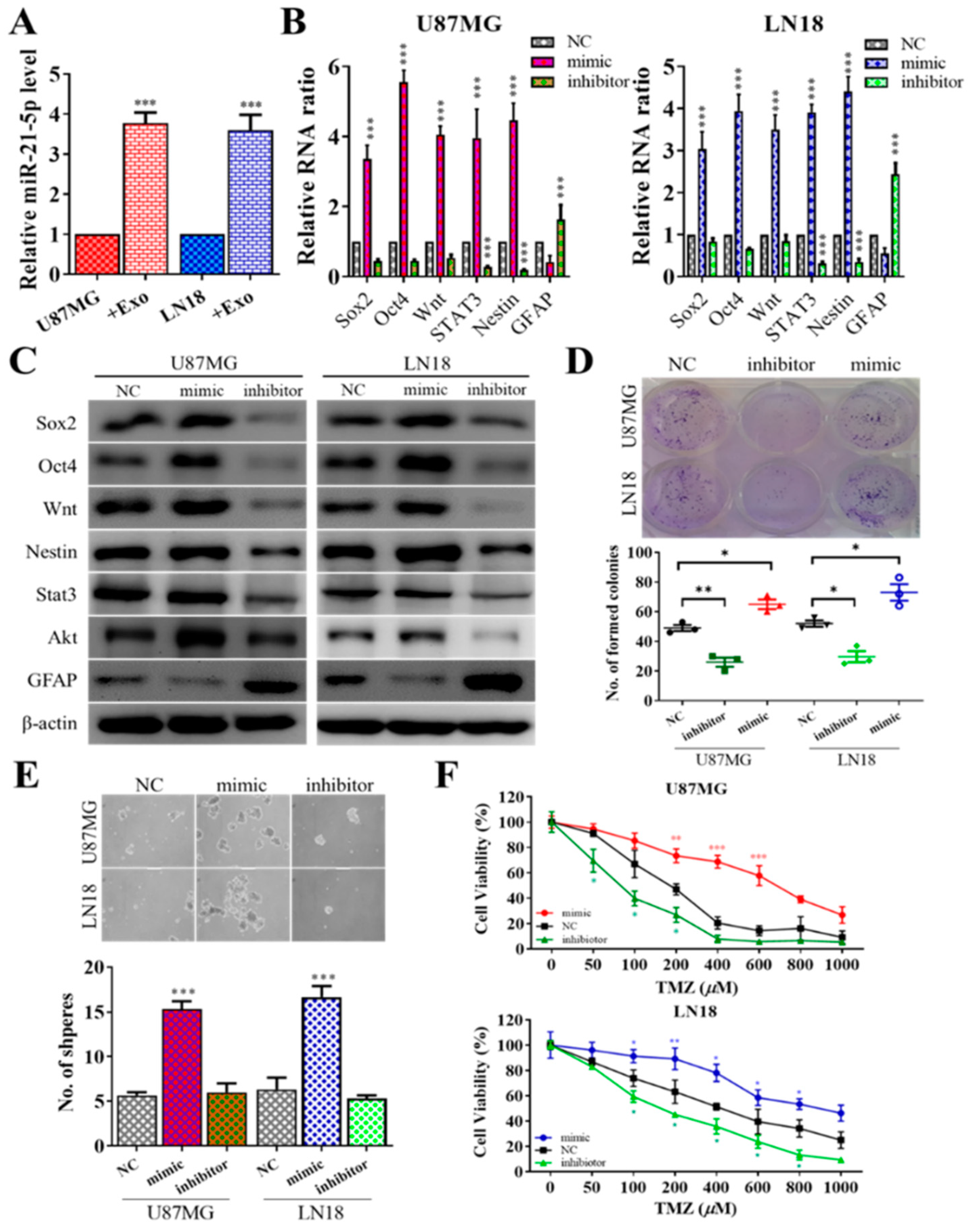 Jcm 08 00959 g003 Jcm 08 00959 g003