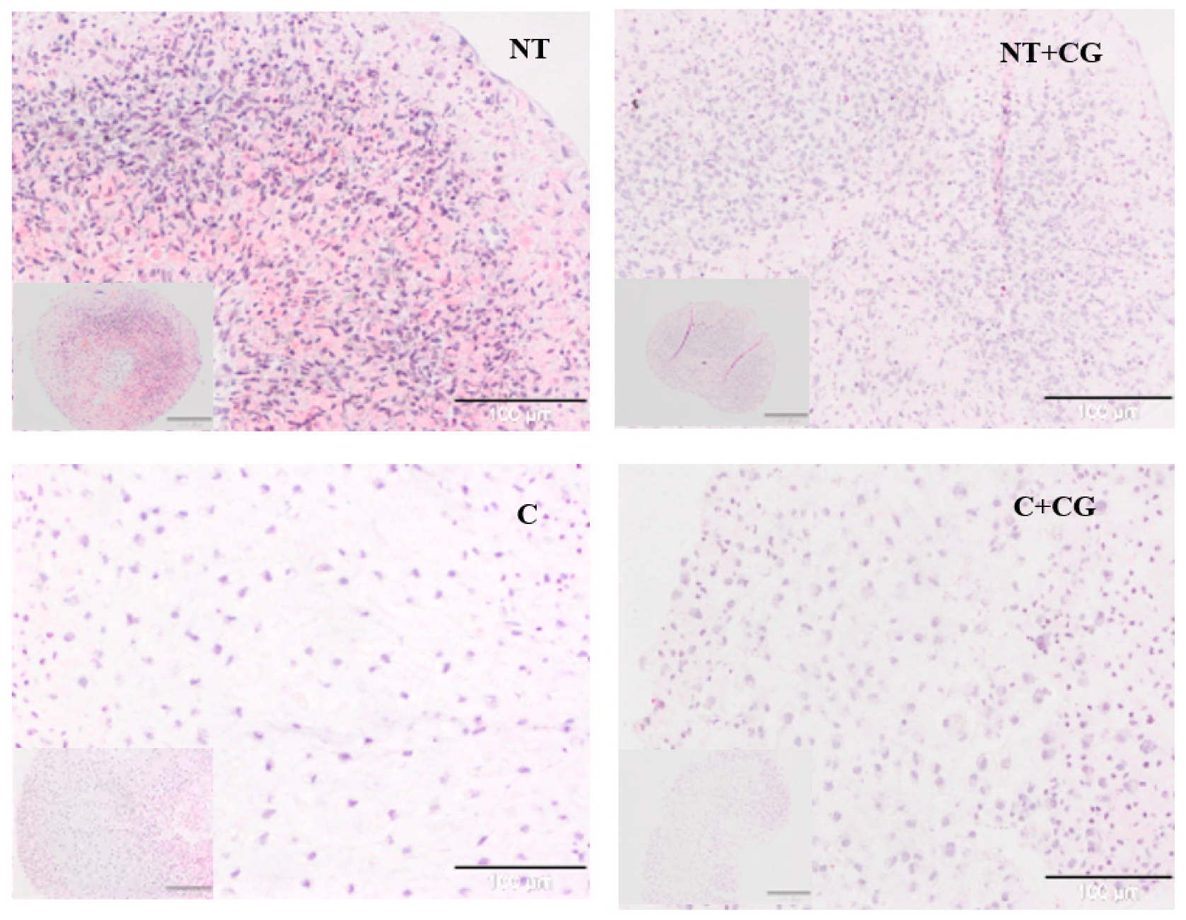 Jcm 08 00975 g003 Jcm 08 00975 g003